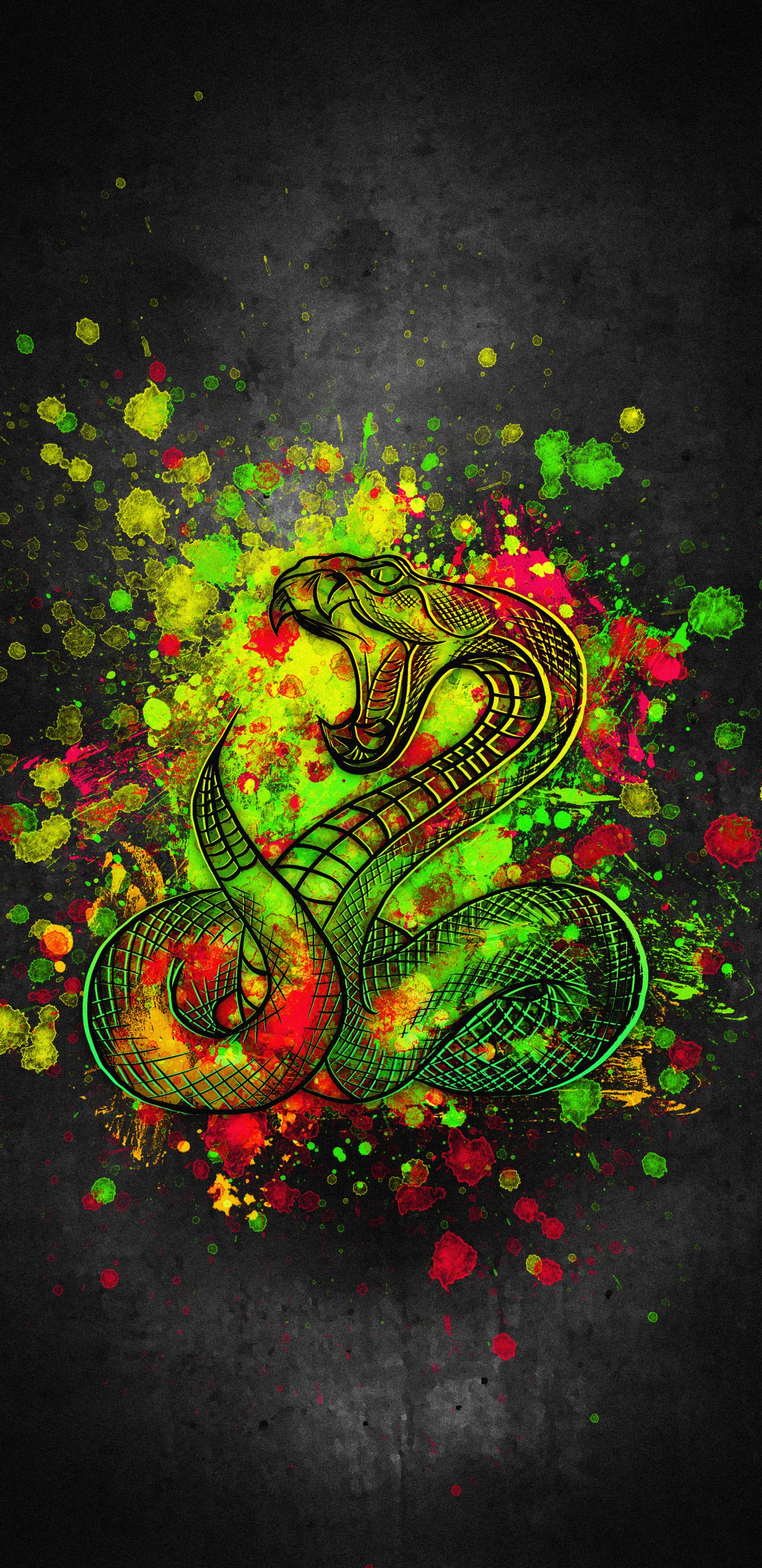 Flore, Arts Visuels, Graphisme, Art, Événement. Wallpaper in 1440x2960 Resolution