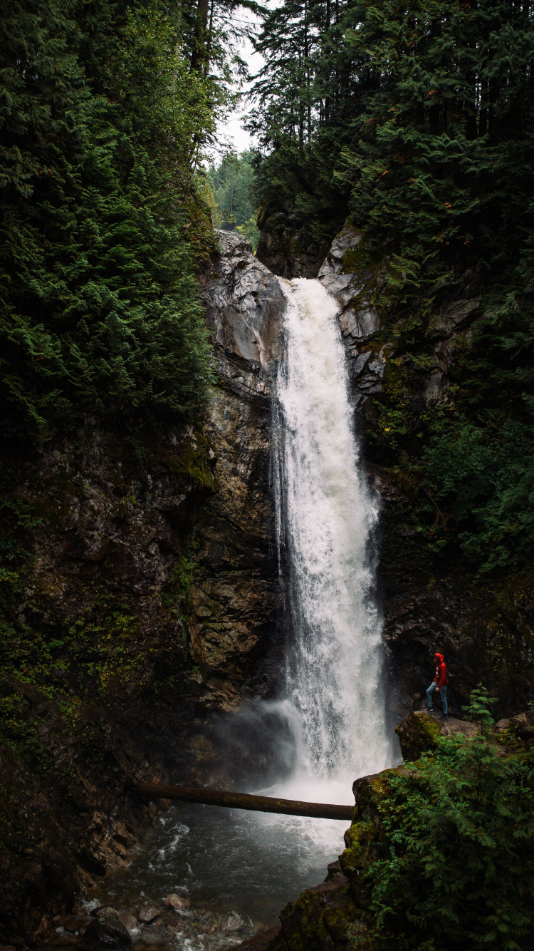 la Característica Del Agua, Selva, el Parque Estatal, Curso de Agua, Los Recursos de Agua. Wallpaper in 750x1334 Resolution