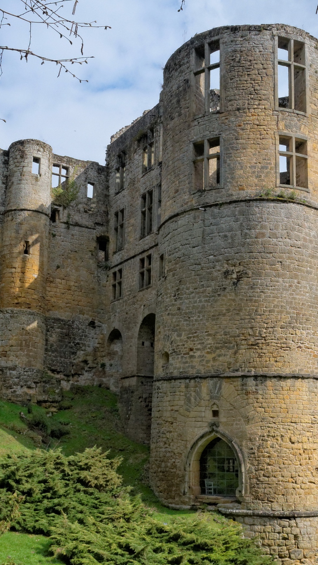 Château de Briques Brunes Sur Terrain D'herbe Verte. Wallpaper in 1080x1920 Resolution