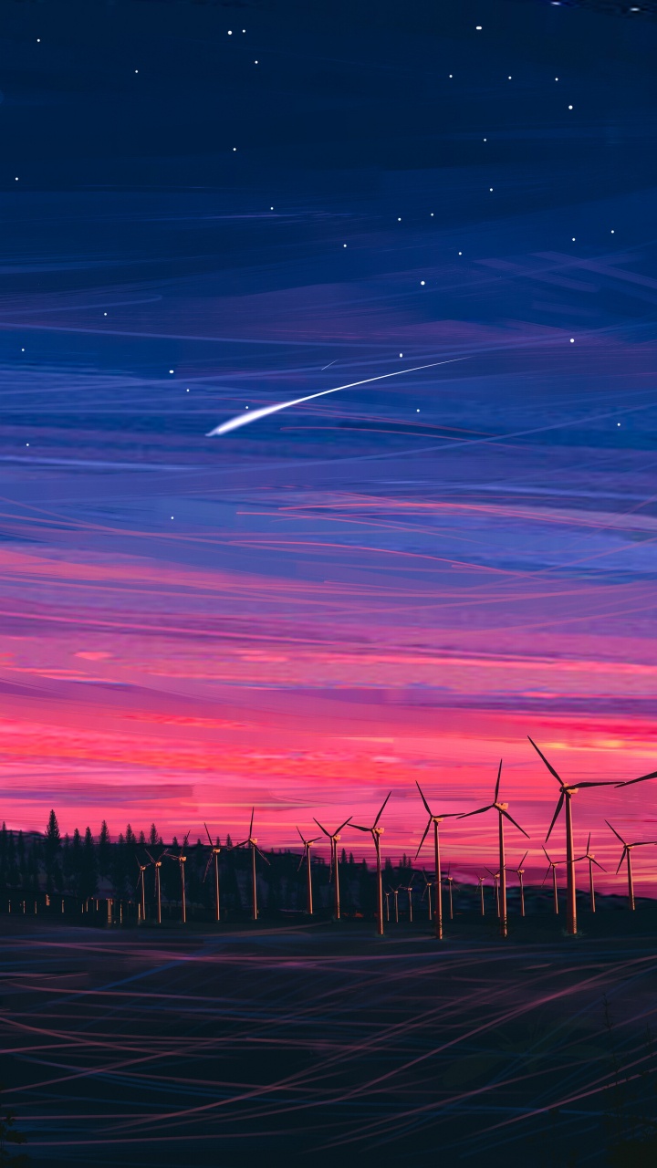 Silhouette of Trees During Sunset. Wallpaper in 720x1280 Resolution