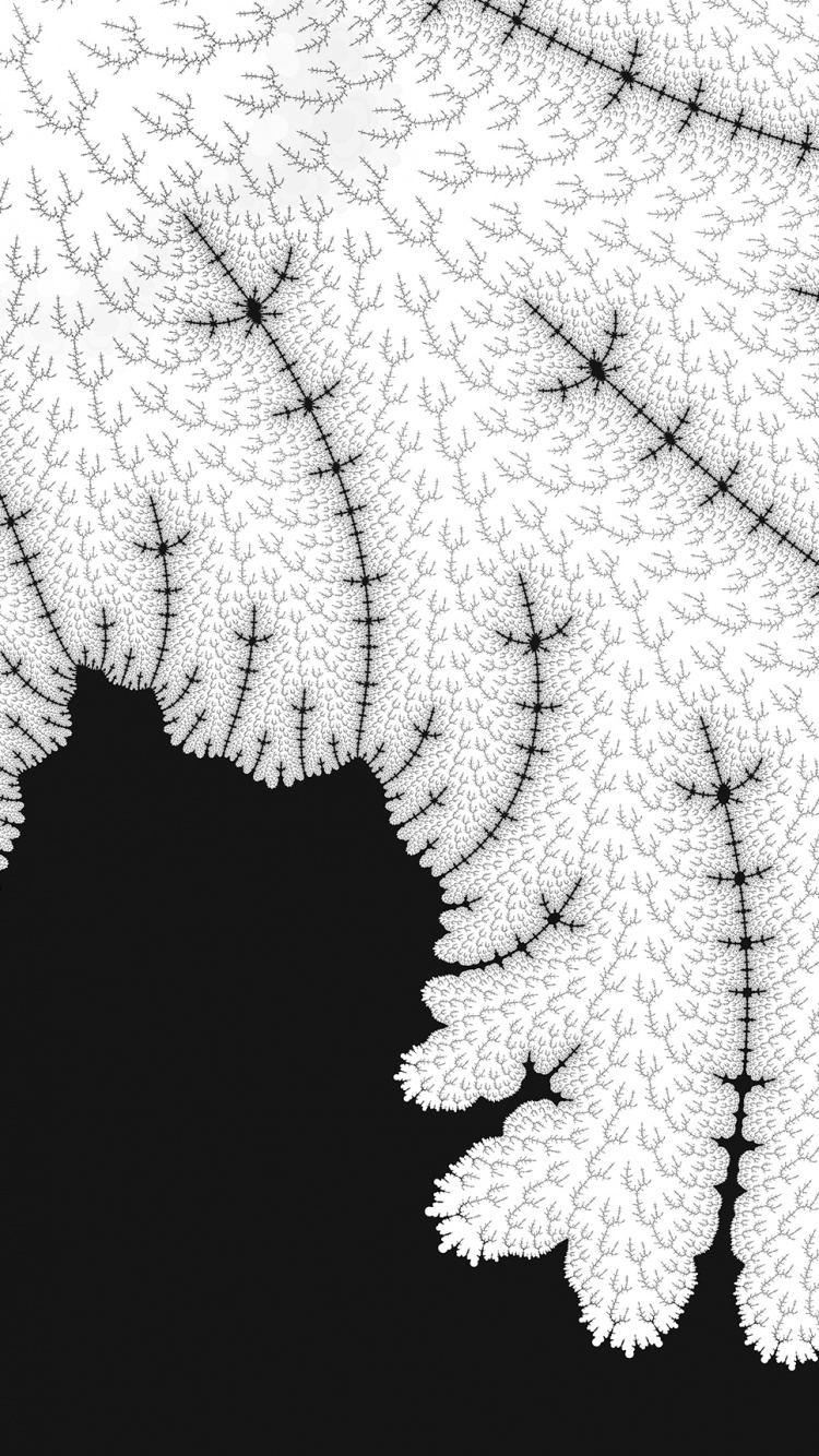 White and Black Abstract Painting. Wallpaper in 750x1334 Resolution