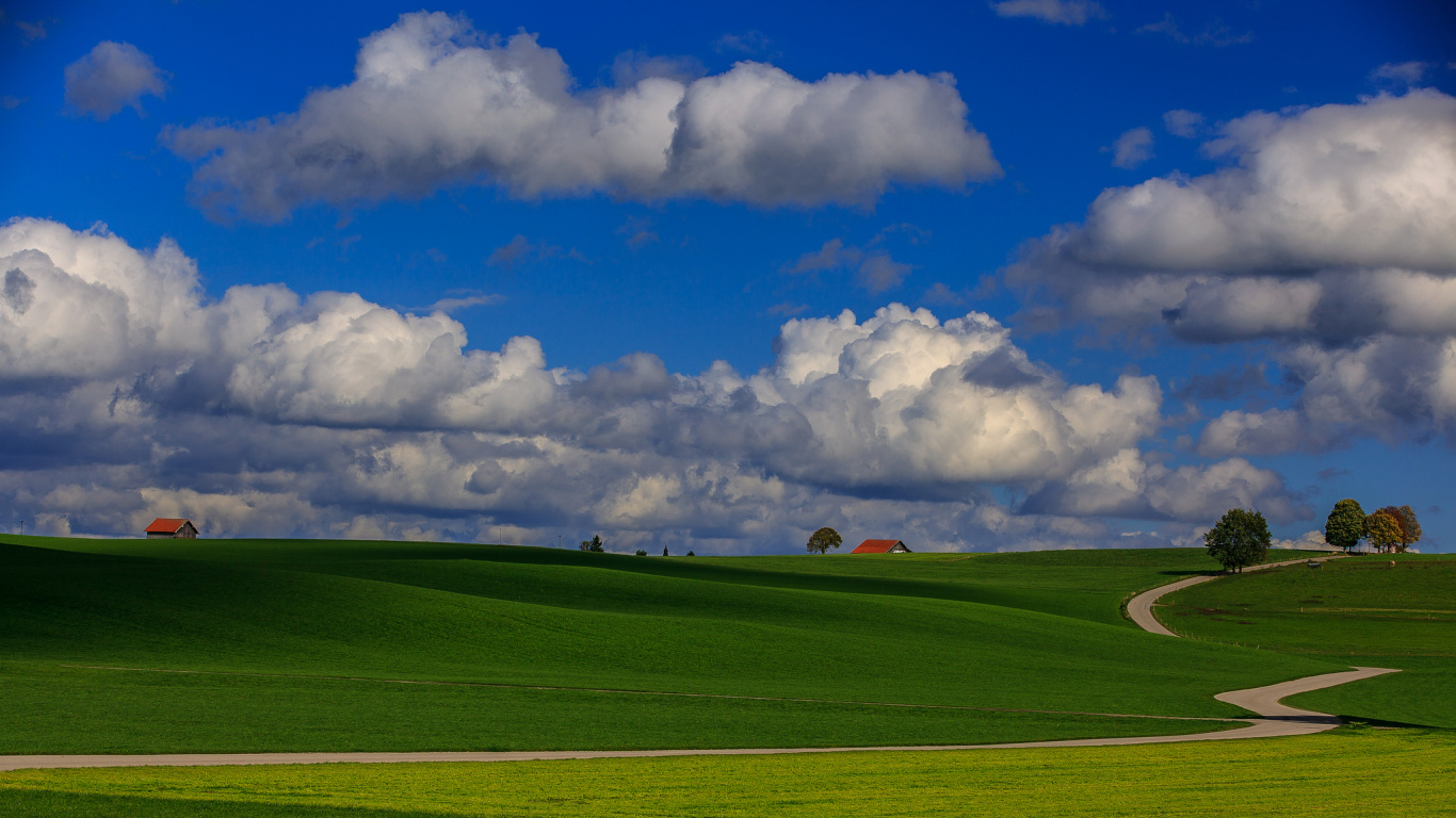 Campo de Hierba Verde Bajo un Cielo Azul y Nubes Blancas Durante el Día. Wallpaper in 1366x768 Resolution