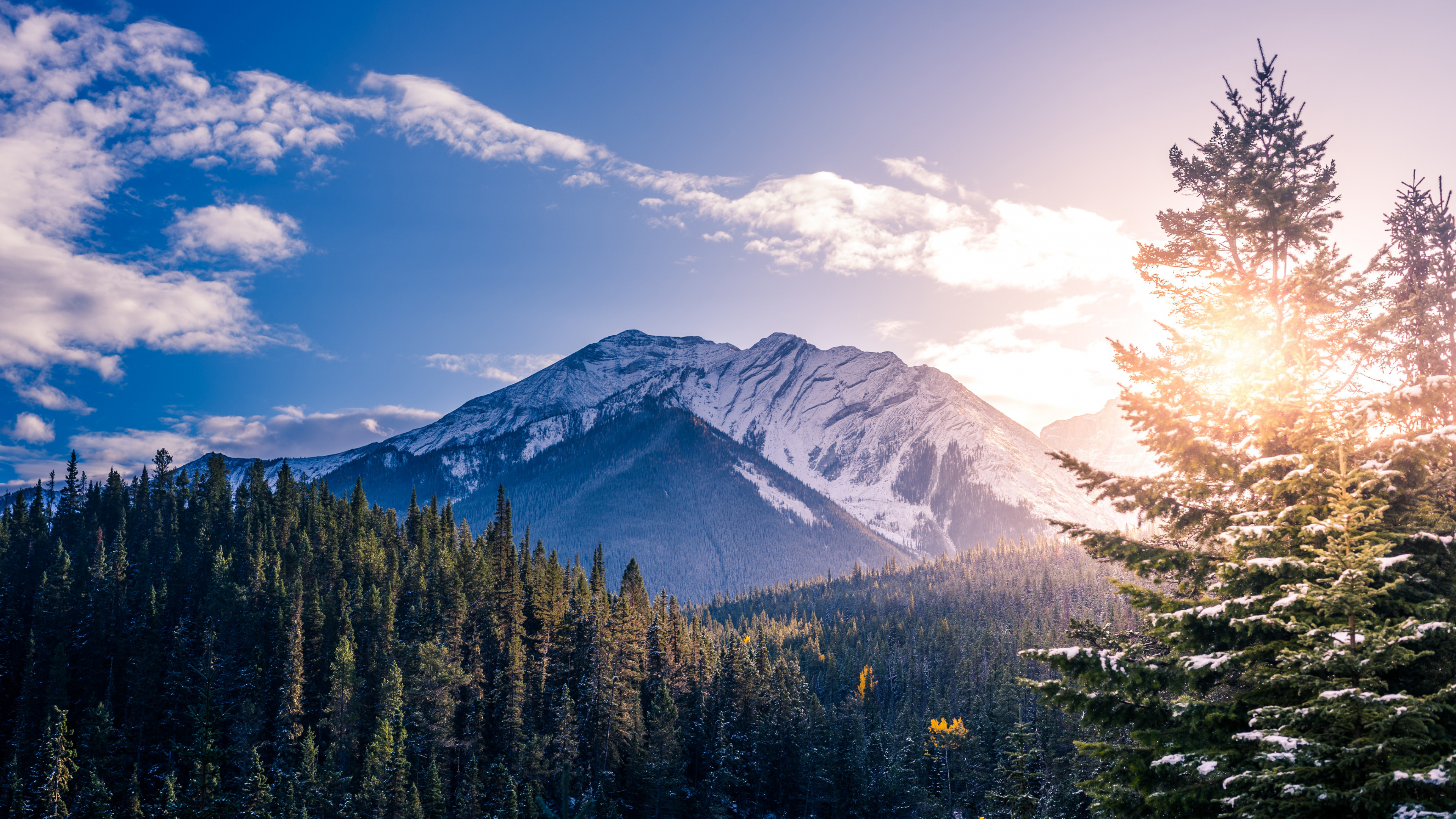Green Pine Trees Near Mountain Under Blue Sky During Daytime. Wallpaper in 3840x2160 Resolution