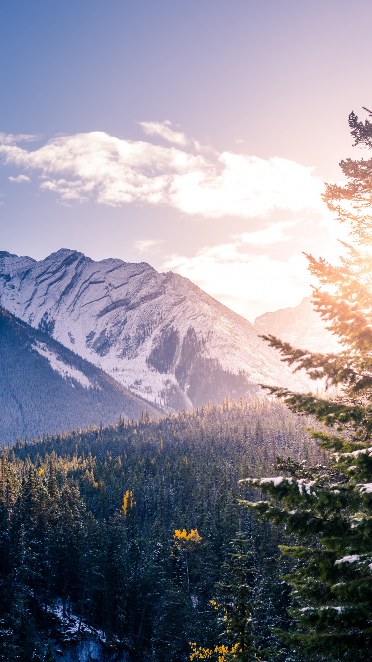 Green Pine Trees Near Mountain Under Blue Sky During Daytime. Wallpaper in 750x1334 Resolution