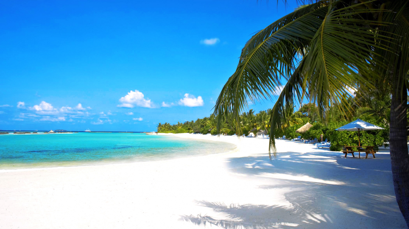 热带地区, 加勒比, 度假, 大海, 岸边 壁纸 1366x768 允许