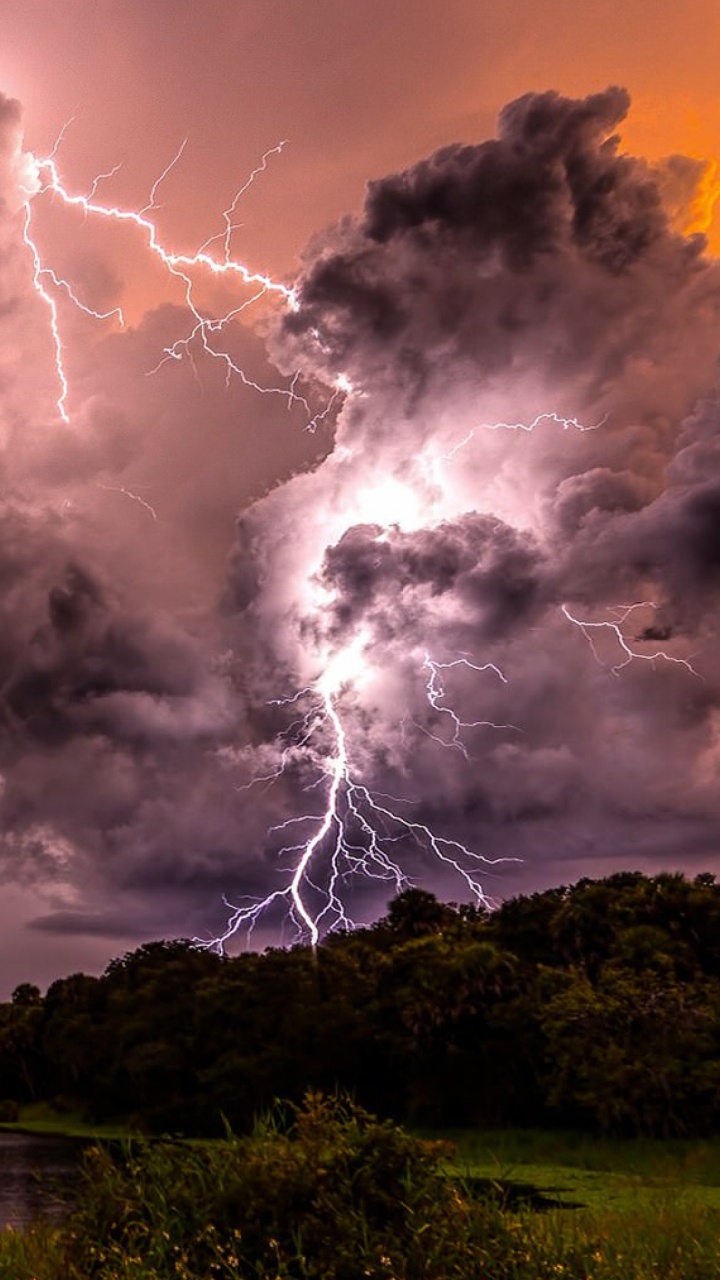 Árboles Verdes Junto al Lago Bajo Nubes Blancas. Wallpaper in 720x1280 Resolution
