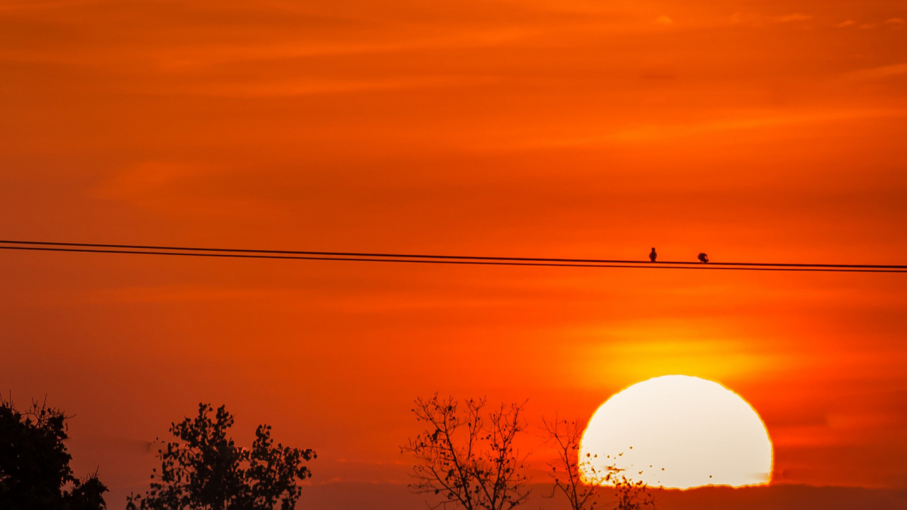 Silhouette D'arbres et Lampadaire Pendant le Coucher du Soleil. Wallpaper in 1280x720 Resolution