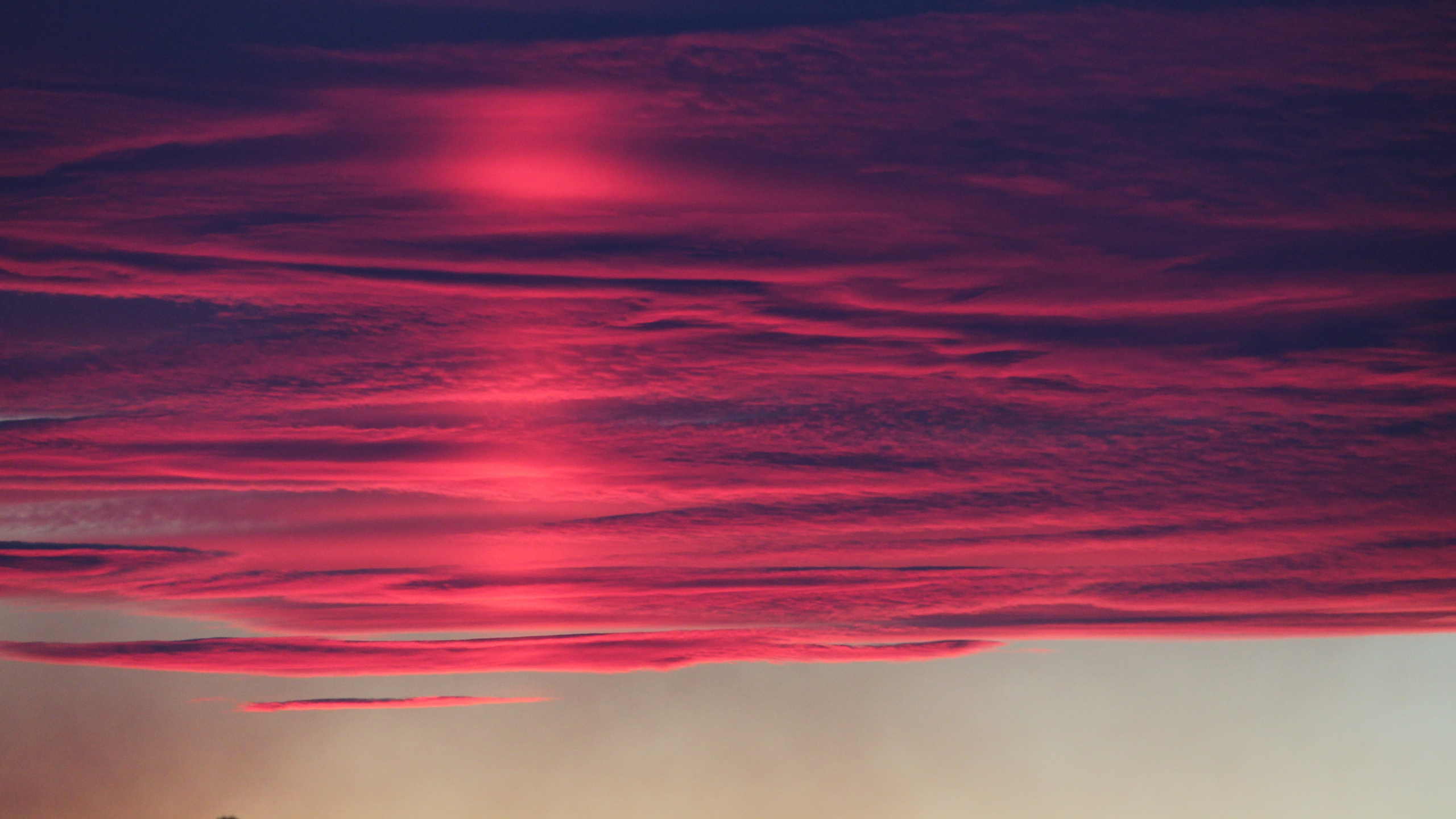 Red, Afterglow, Blue, Pink, Cloud. Wallpaper in 2560x1440 Resolution