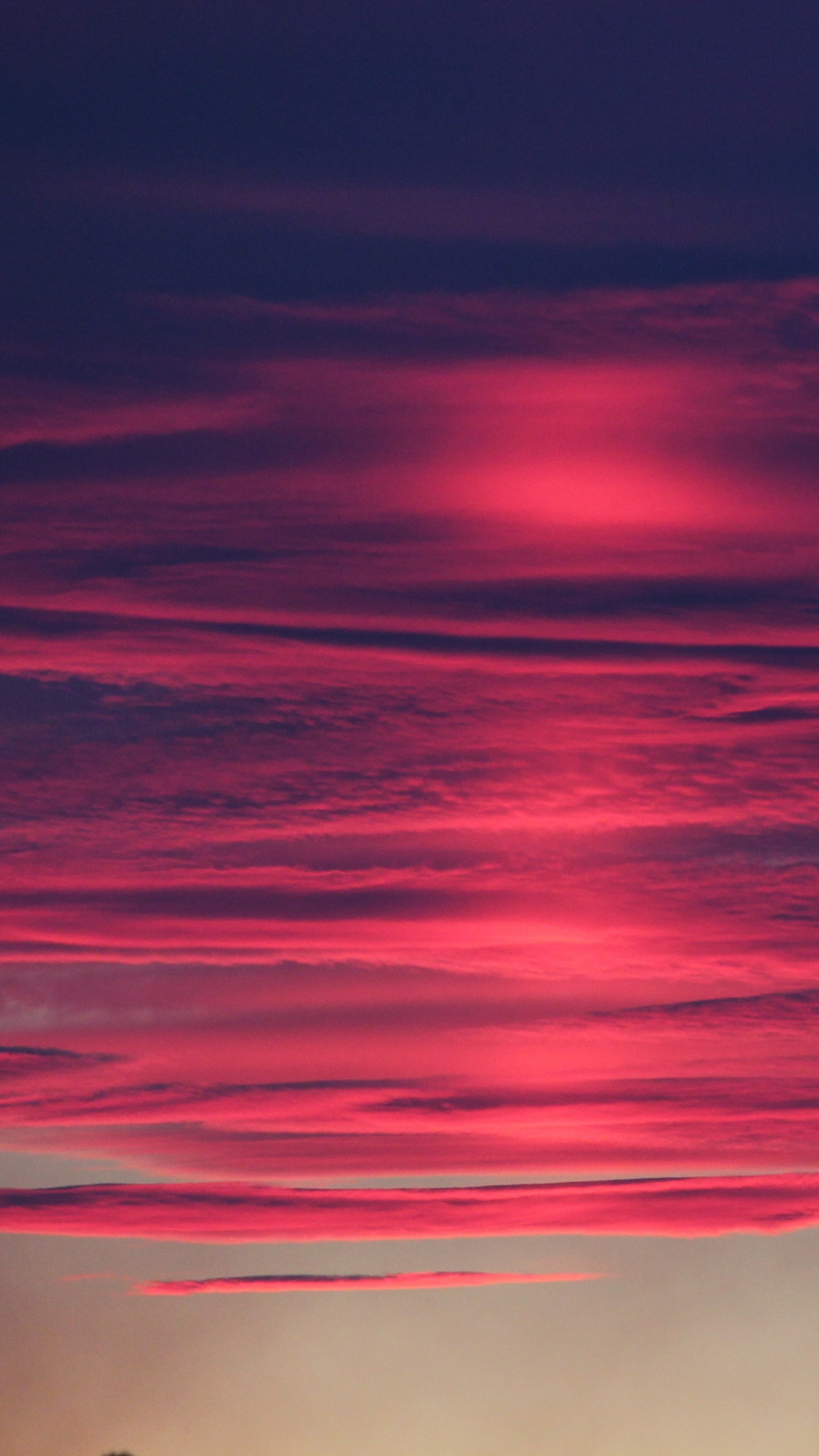 Red, Afterglow, Blue, Pink, Horizon. Wallpaper in 1440x2560 Resolution