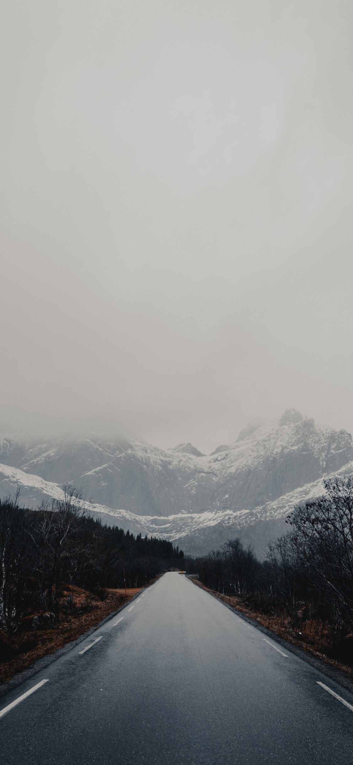 Ridge, Glacial Landform, Tree, Sky, Fog. Wallpaper in 1125x2436 Resolution