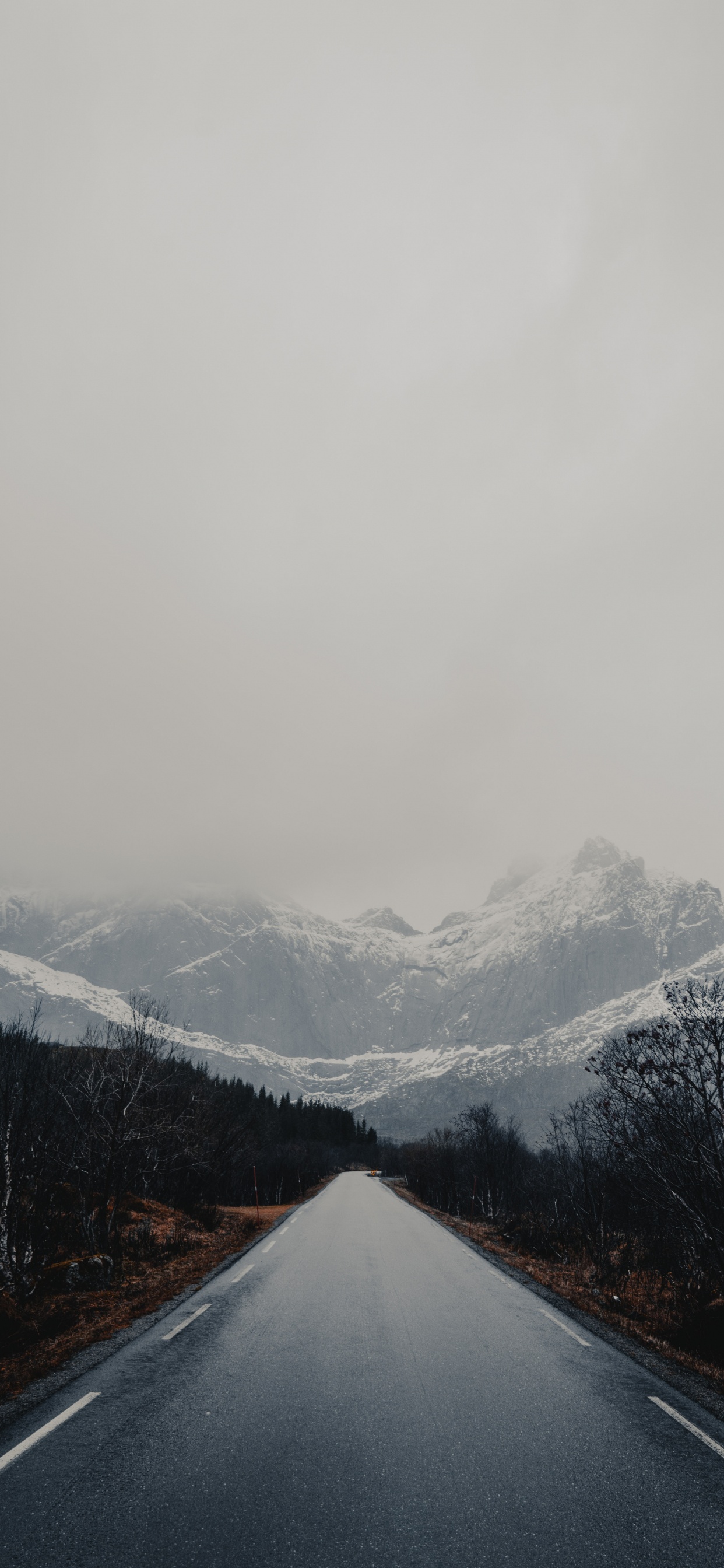 Ridge, Glacial Landform, Tree, Sky, Fog. Wallpaper in 1242x2688 Resolution