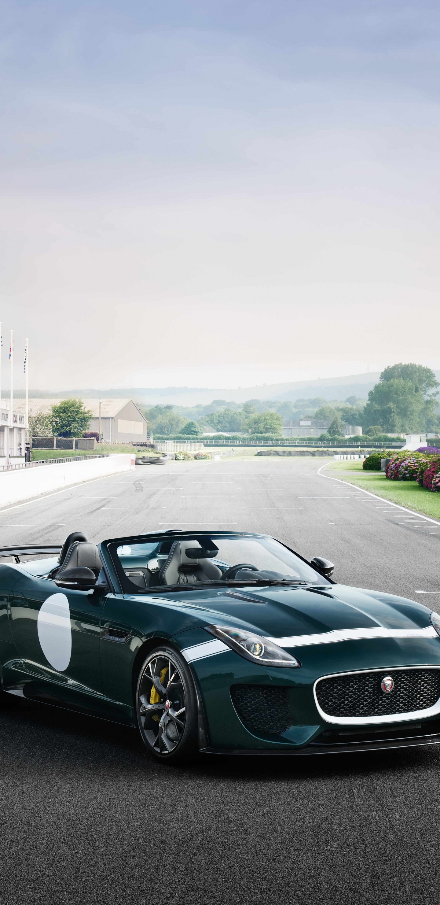 Black Porsche 911 on Road During Daytime. Wallpaper in 1440x2960 Resolution
