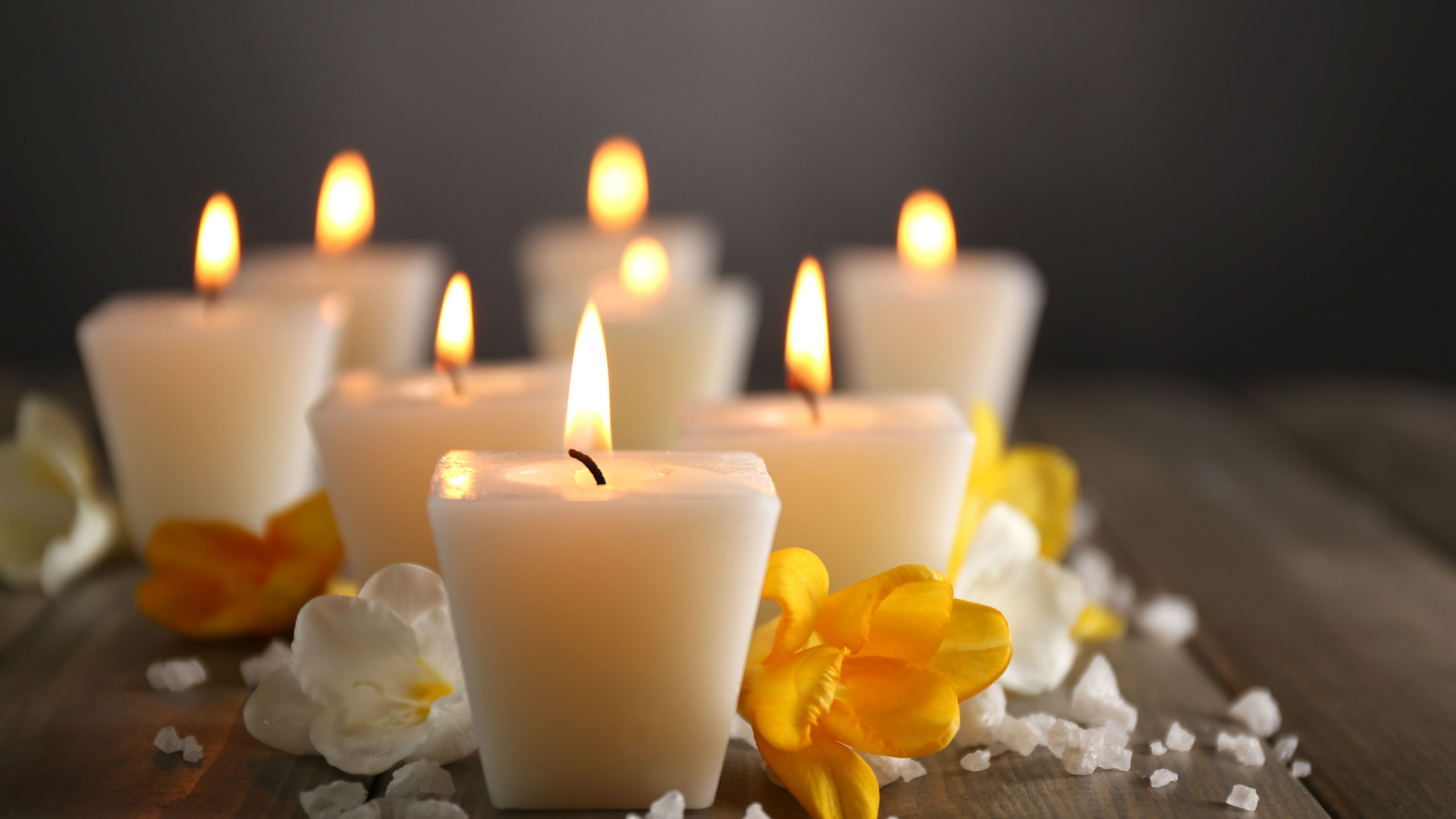 Petal, Yellow, Flame, Interior Design, Wax. Wallpaper in 2560x1440 Resolution