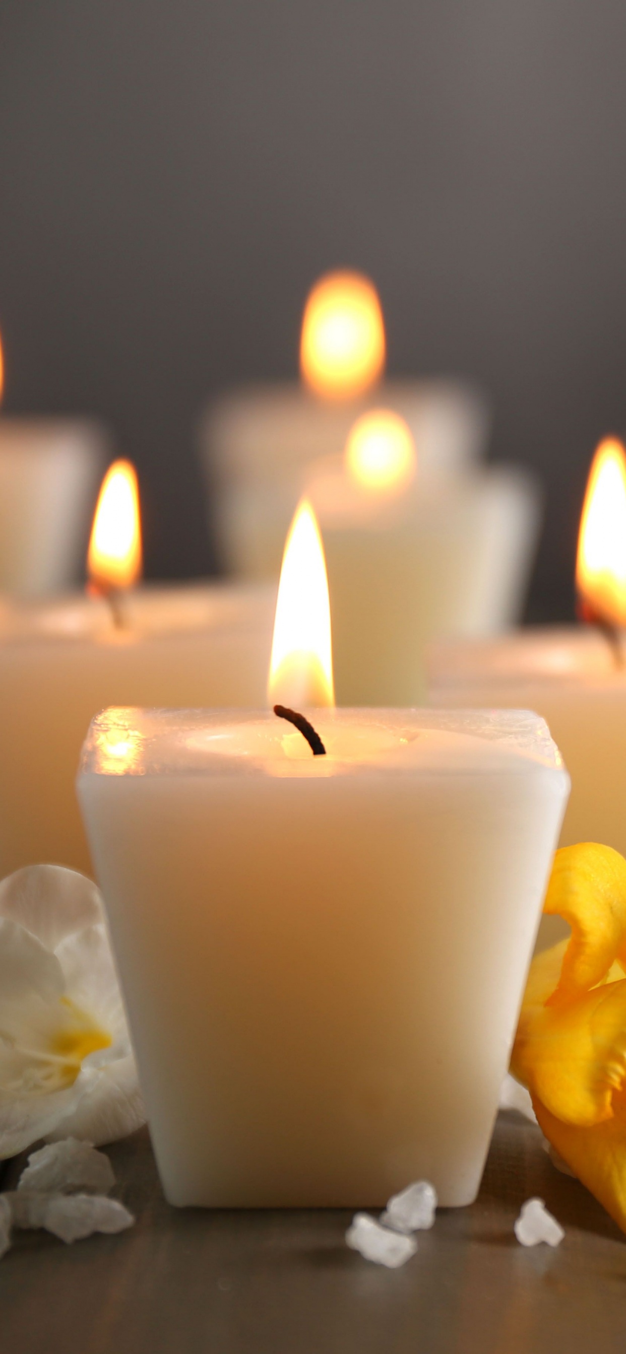 Pétale, Jaune, Flamme, Design D'intérieur, Cire. Wallpaper in 1242x2688 Resolution