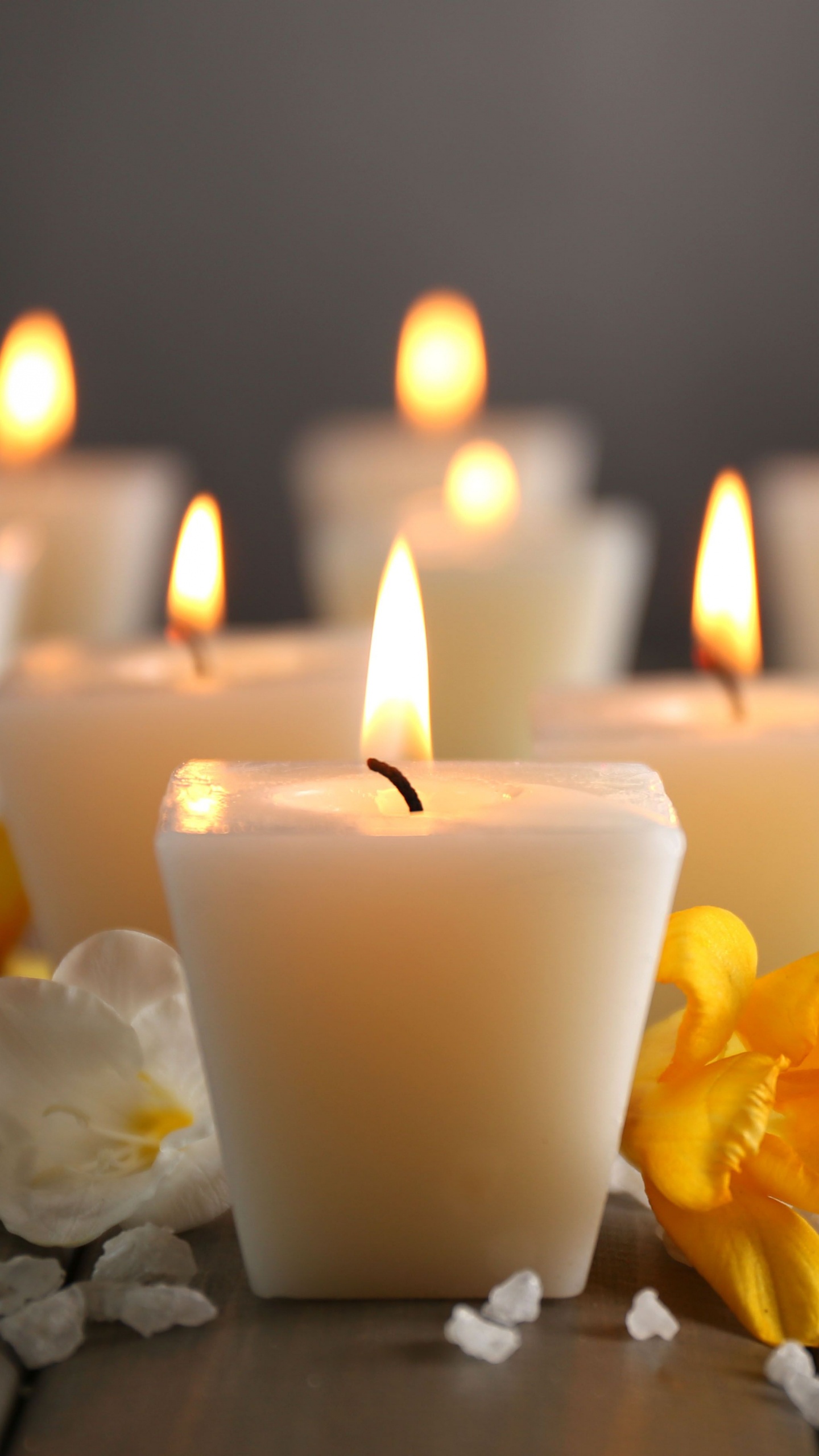 Pétale, Jaune, Flamme, Design D'intérieur, Cire. Wallpaper in 1440x2560 Resolution