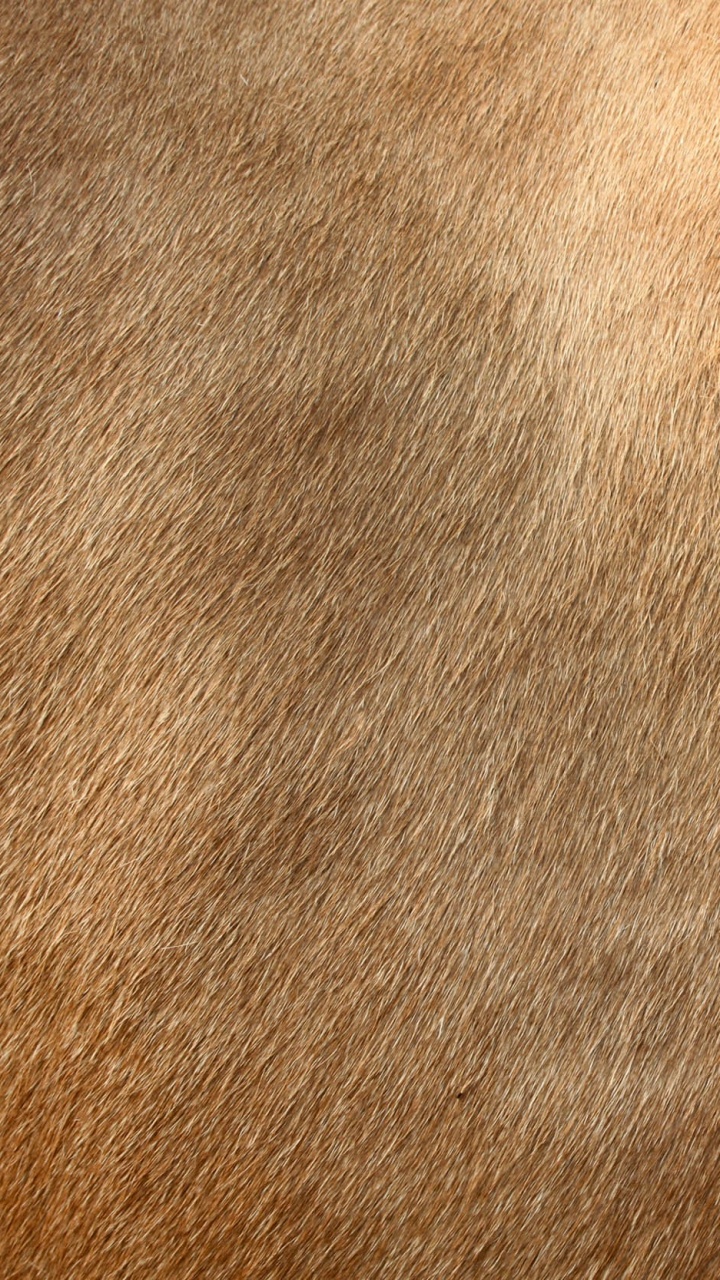 Brown Textile in Close up Image. Wallpaper in 720x1280 Resolution