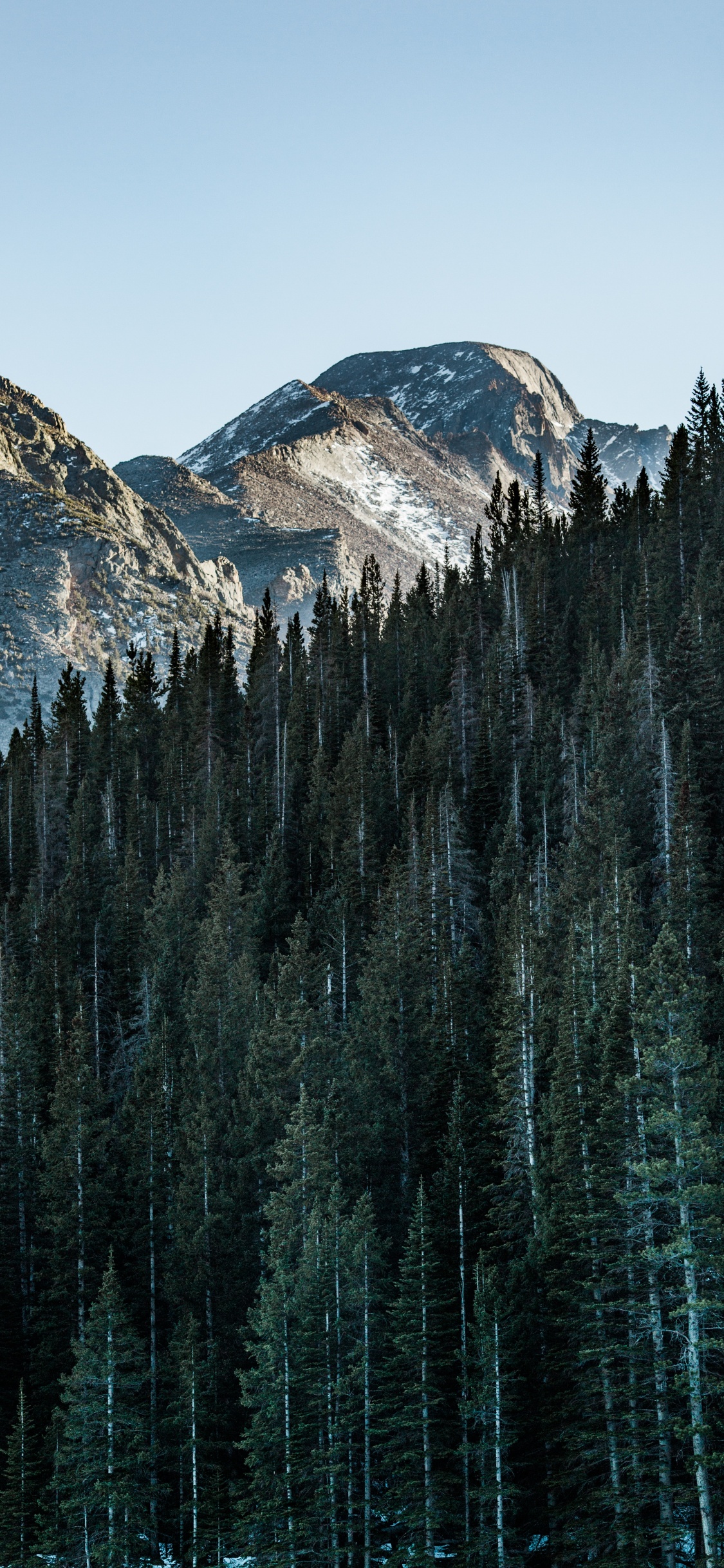 Montaña, Paisaje Natural, Bioma, Reflexión, Abeto de Bosques de Abetos. Wallpaper in 1125x2436 Resolution