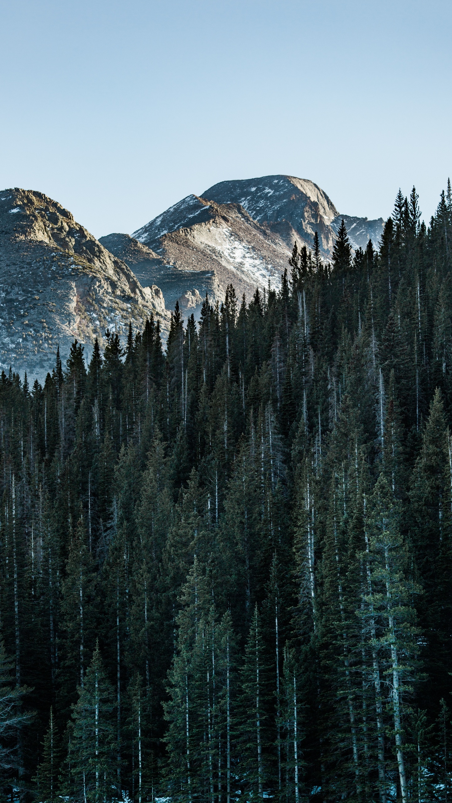 Montaña, Paisaje Natural, Bioma, Reflexión, Abeto de Bosques de Abetos. Wallpaper in 1440x2560 Resolution
