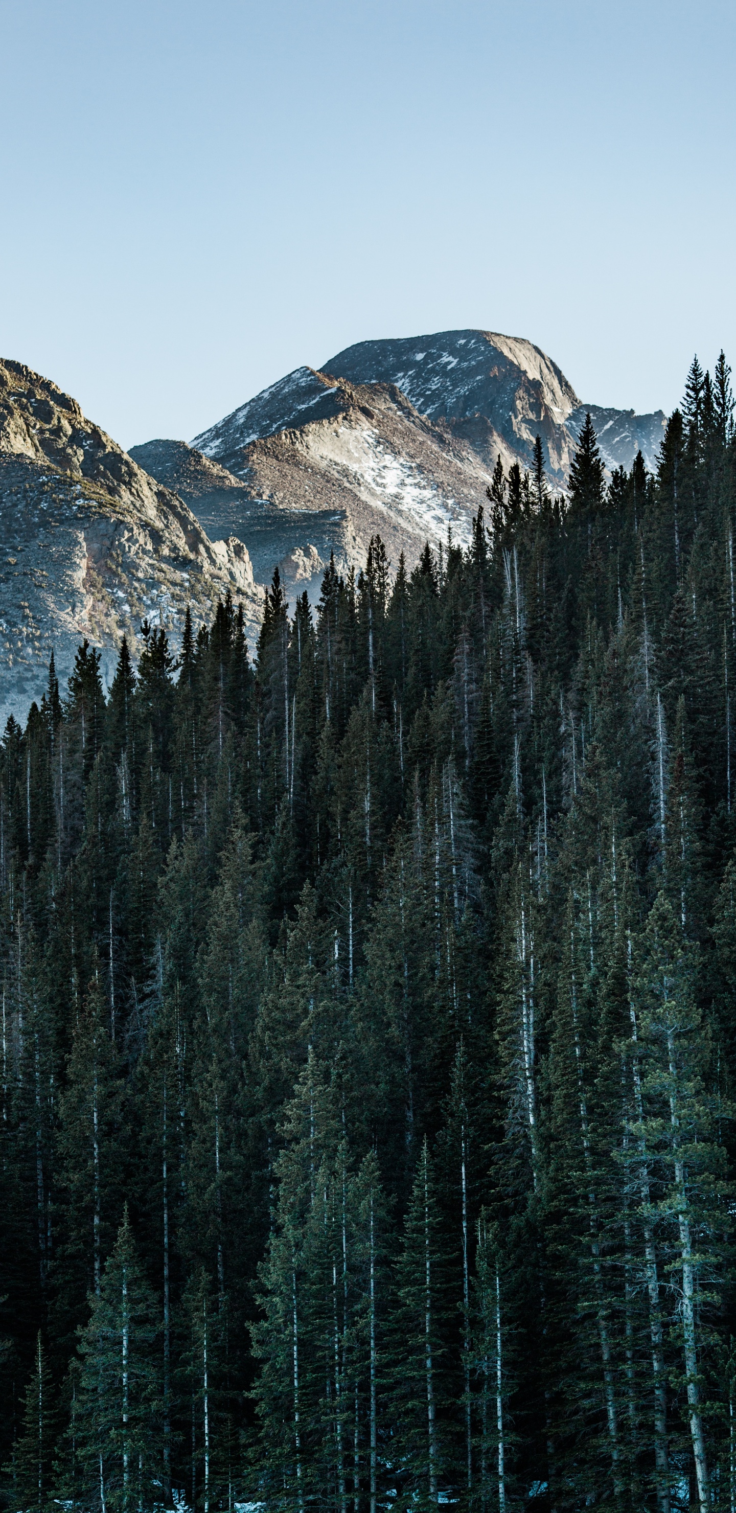 Montaña, Paisaje Natural, Bioma, Reflexión, Abeto de Bosques de Abetos. Wallpaper in 1440x2960 Resolution