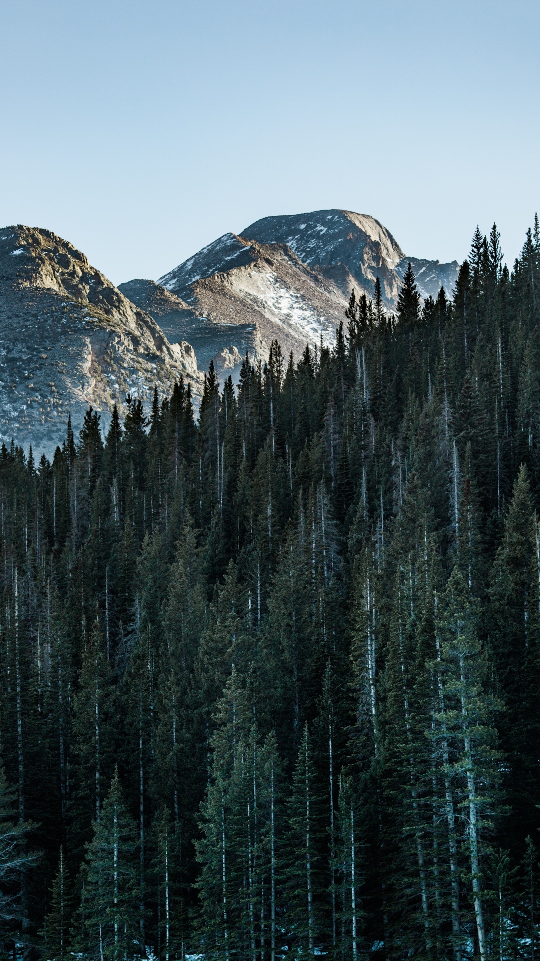 自然景观, 生物群落, 反射, 云杉林, 性质 壁纸 1080x1920 允许