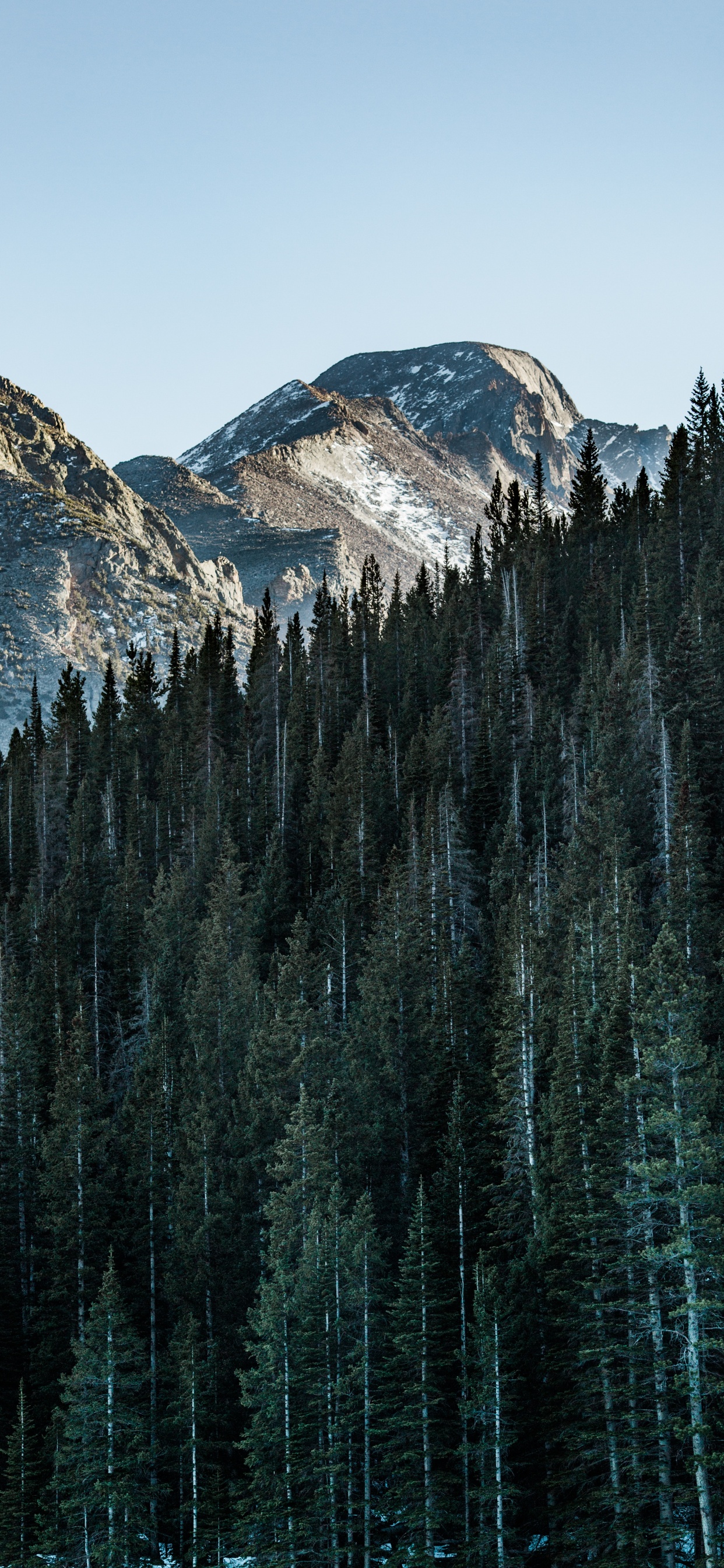 自然景观, 生物群落, 反射, 云杉林, 性质 壁纸 1242x2688 允许