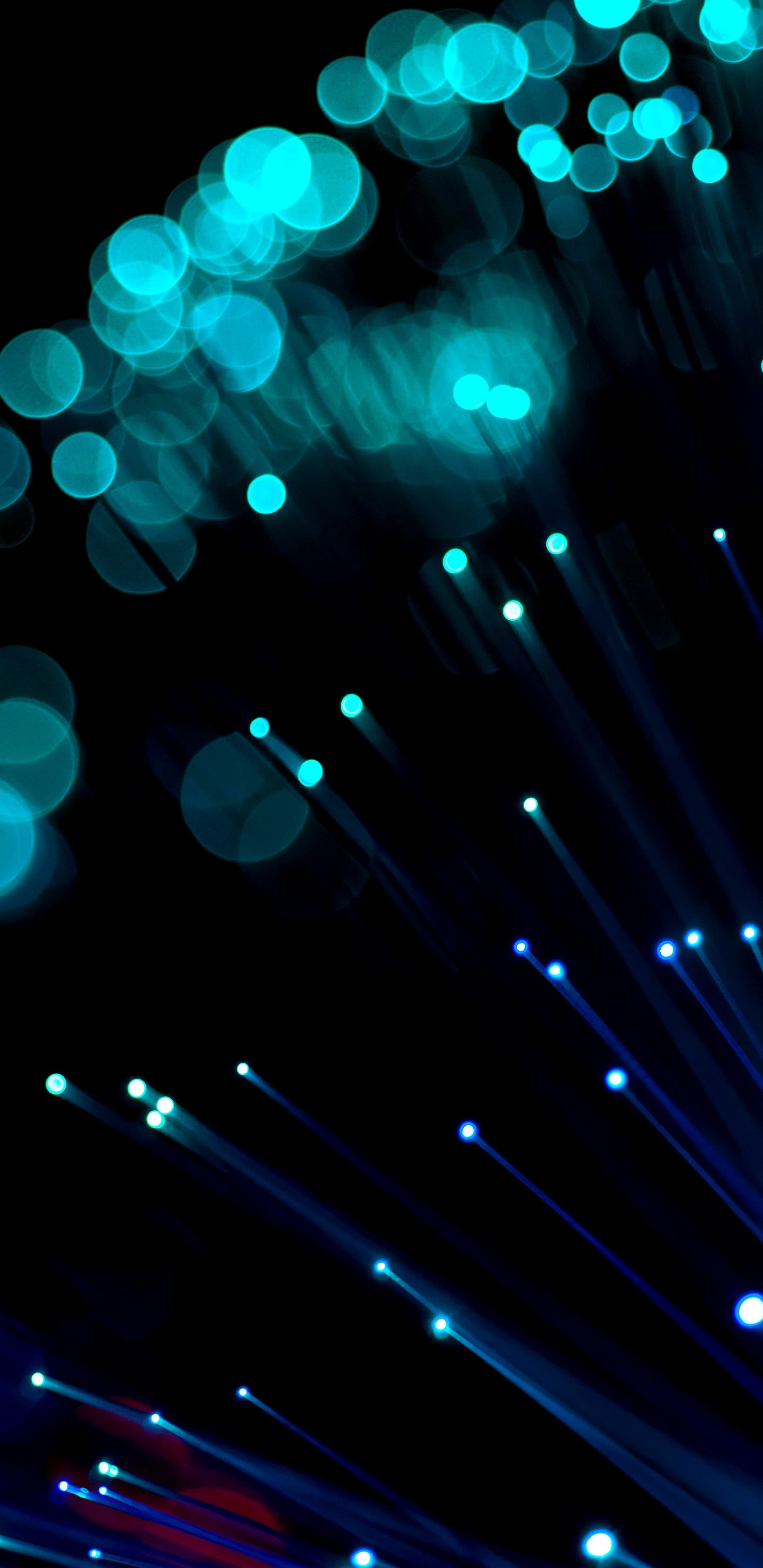 Fibre Optique, L'éclairage Automobile, Blue, Divertissement, L'effet Visuel de L'éclairage. Wallpaper in 1440x2960 Resolution