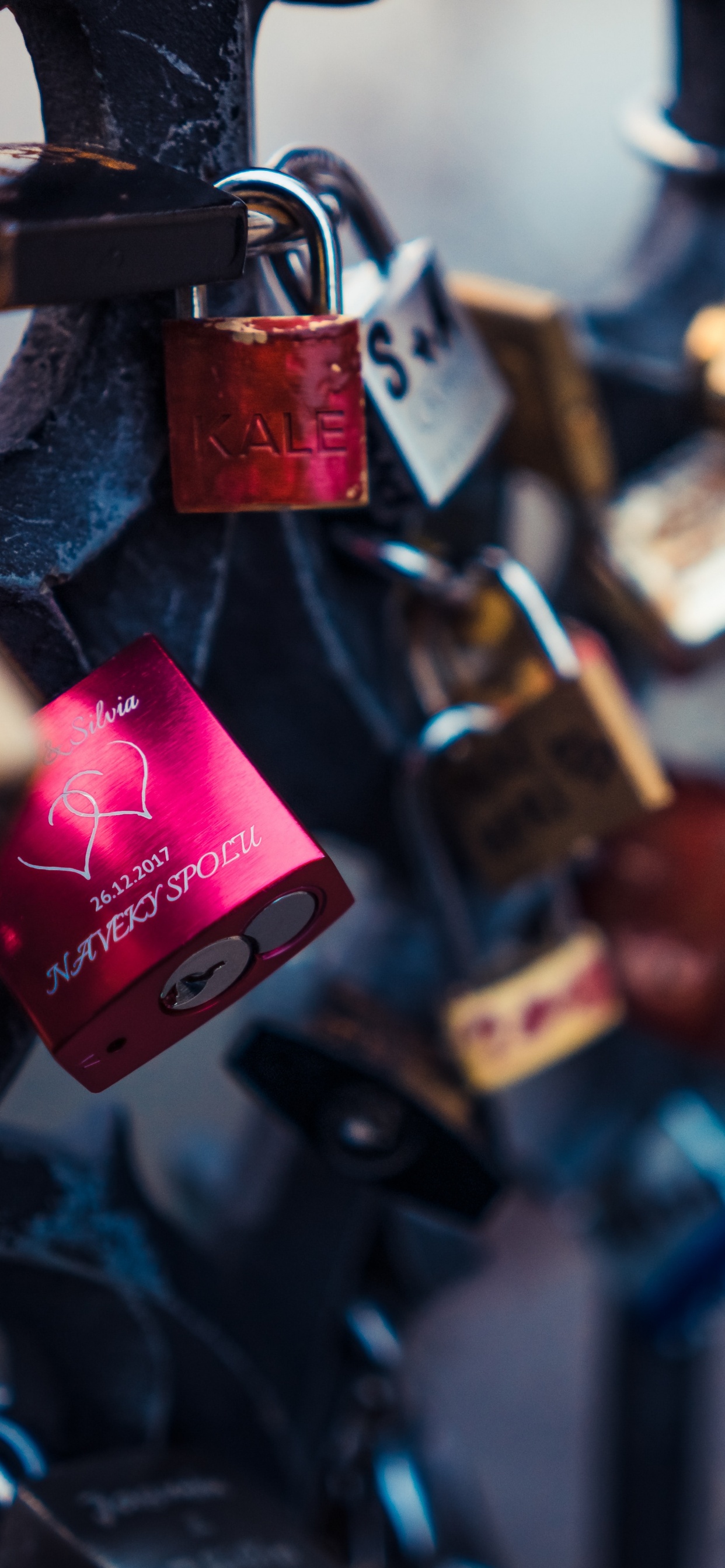 Padlocks on Black Metal Fence. Wallpaper in 1242x2688 Resolution