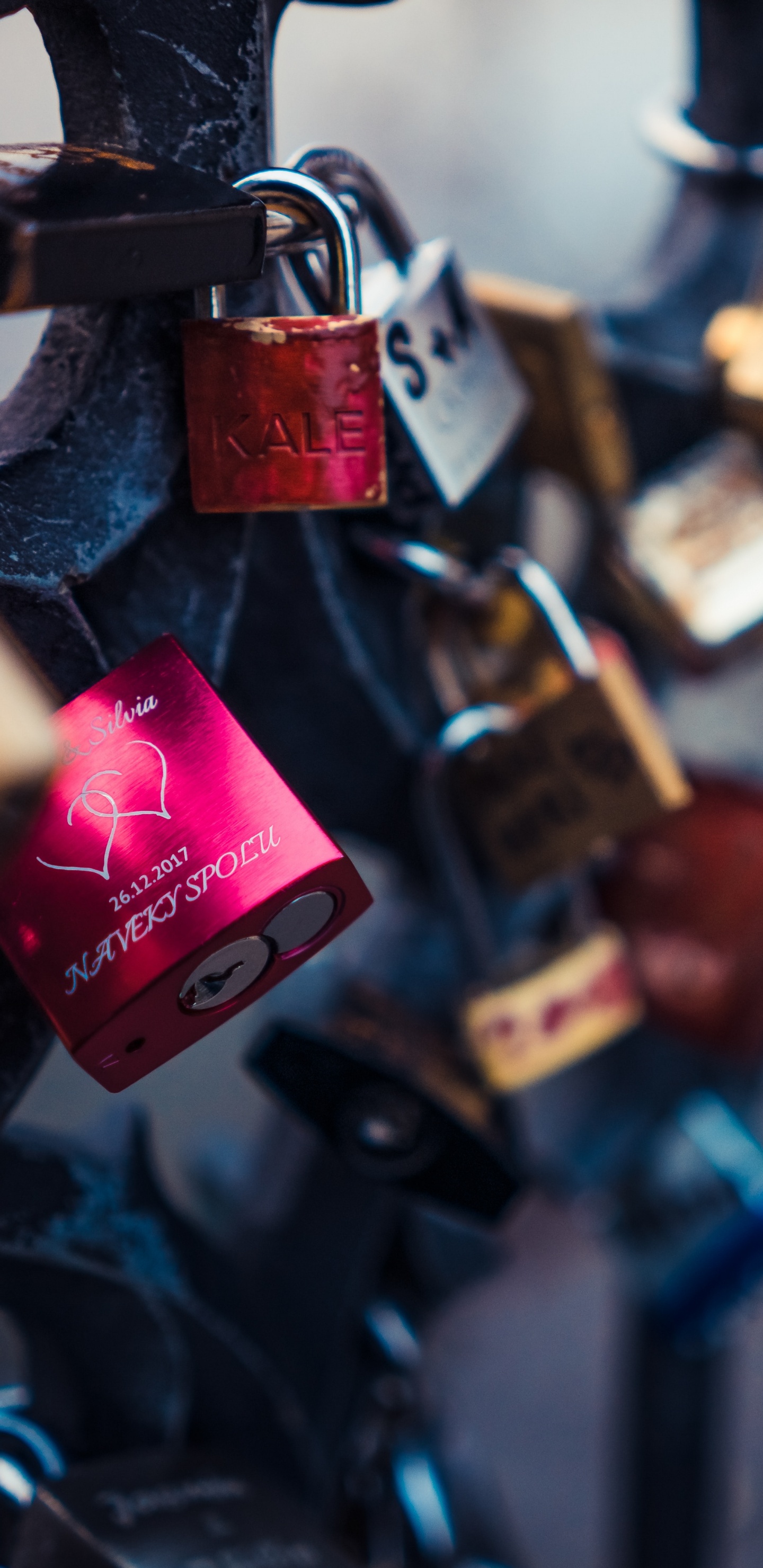 Padlocks on Black Metal Fence. Wallpaper in 1440x2960 Resolution