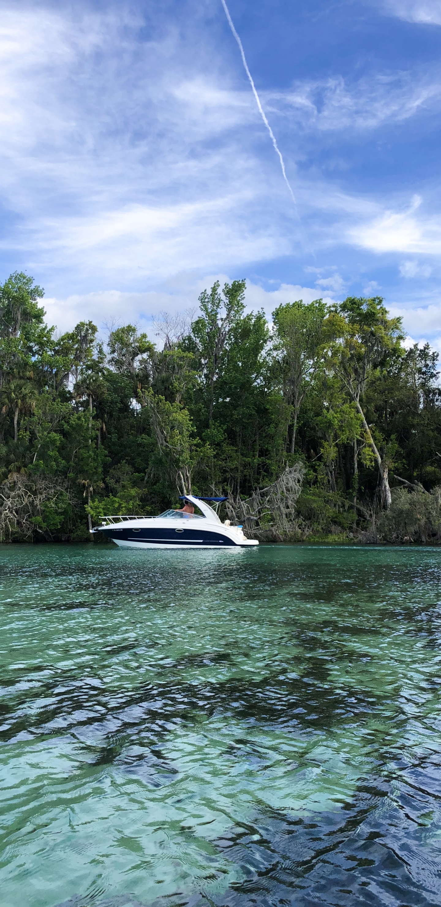 Natur, Cloud, Wasserfahrzeug, Pflanzen-Gemeinschaft, Speedboat. Wallpaper in 1440x2960 Resolution