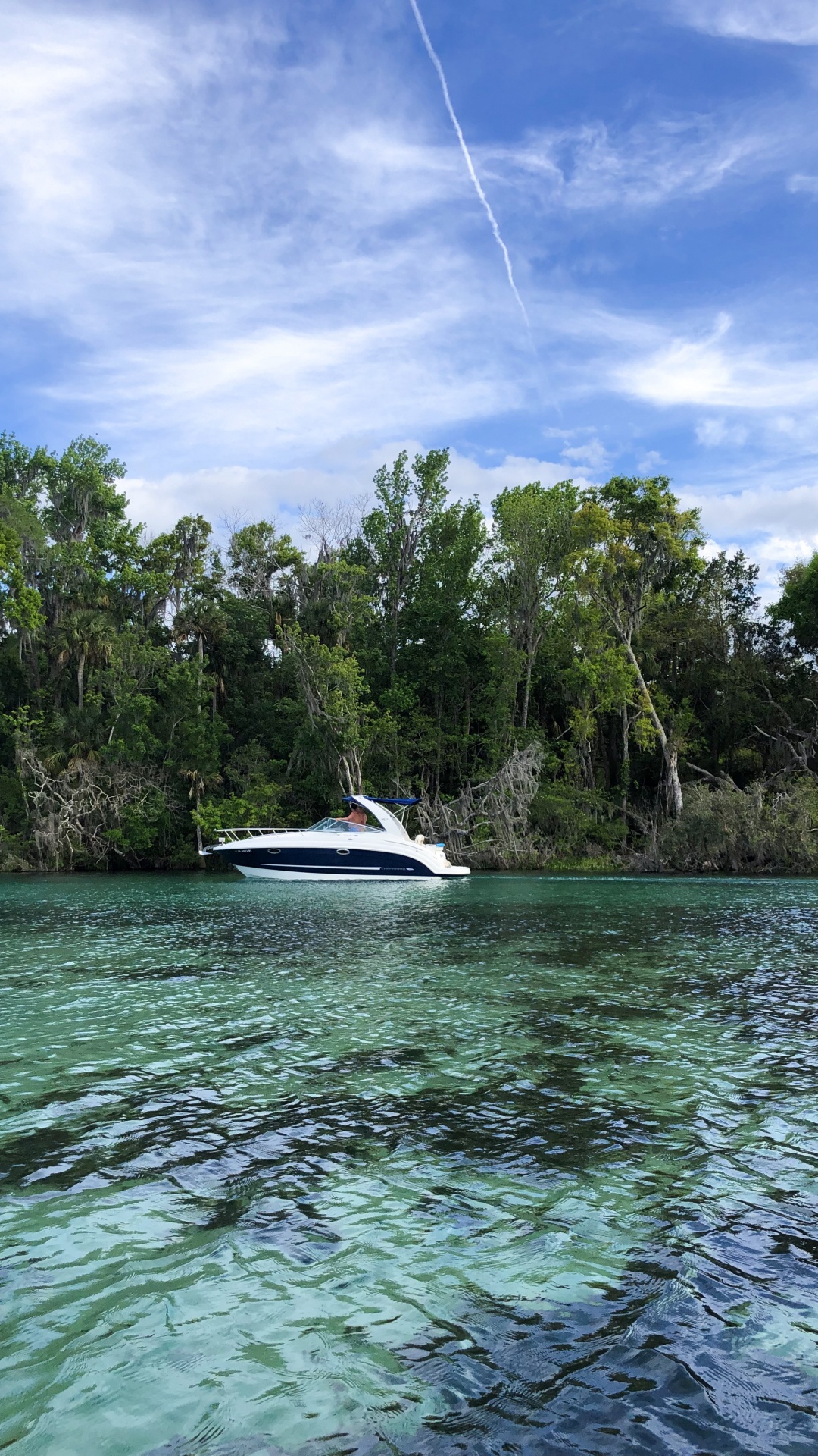 Nature, Cloud, Watercraft, Plant Community, Speedboat. Wallpaper in 1080x1920 Resolution