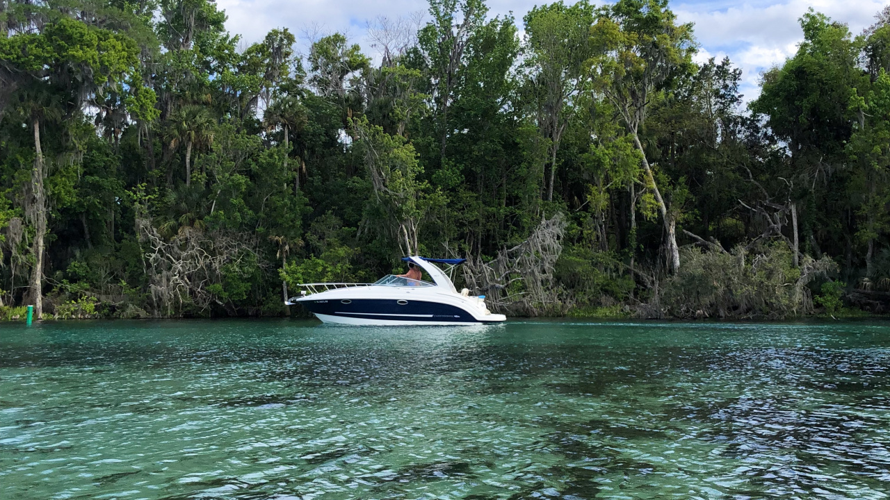 Nature, Motomarine, Plante de la Communauté, Vedette, Bateau. Wallpaper in 1280x720 Resolution