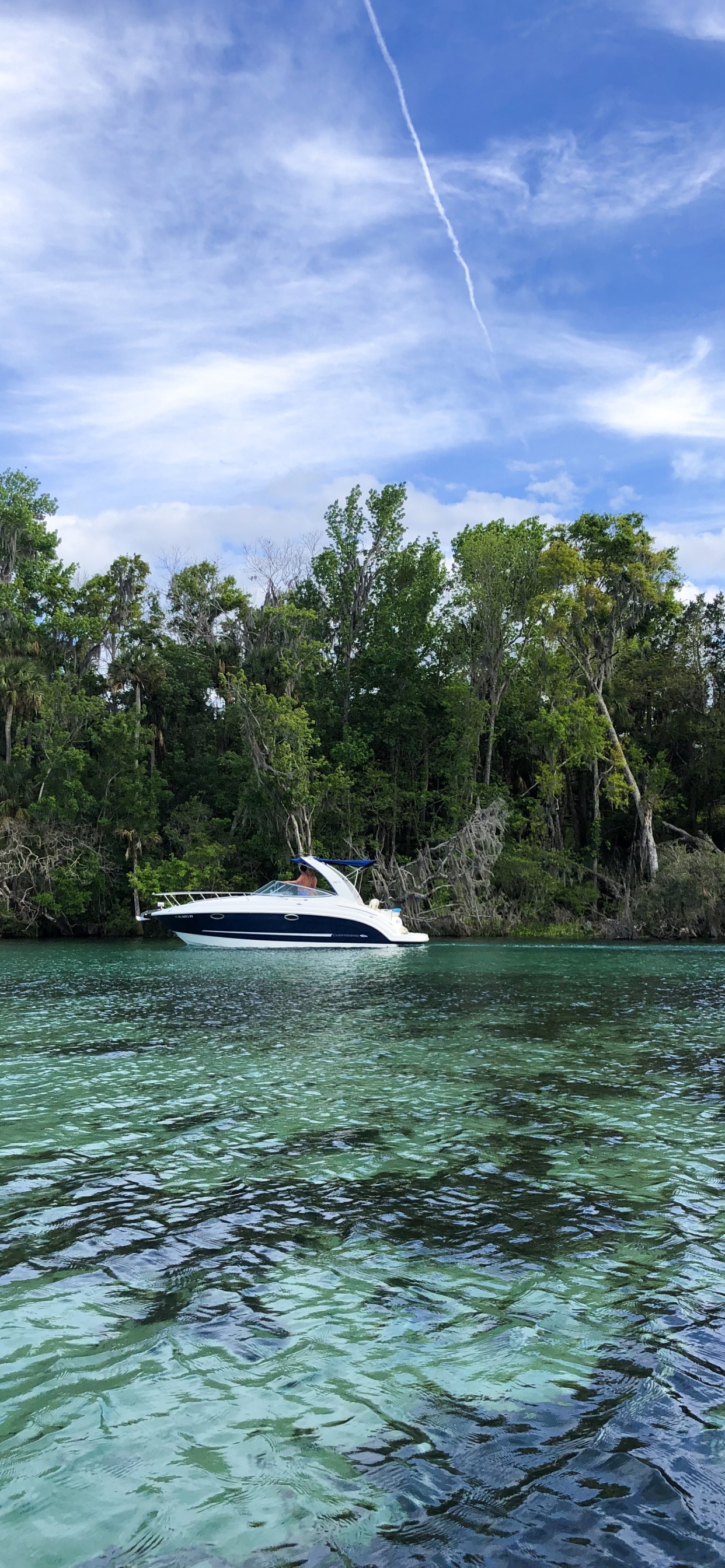 性质, 船只, 植物群, 海军建筑 壁纸 1242x2688 允许