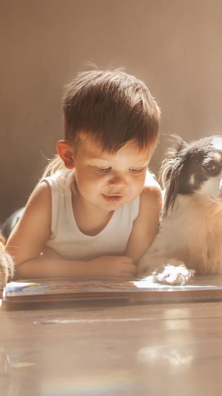 Chien, Lapin, Race de Chien, Enfant, Chiot Amour. Wallpaper in 720x1280 Resolution