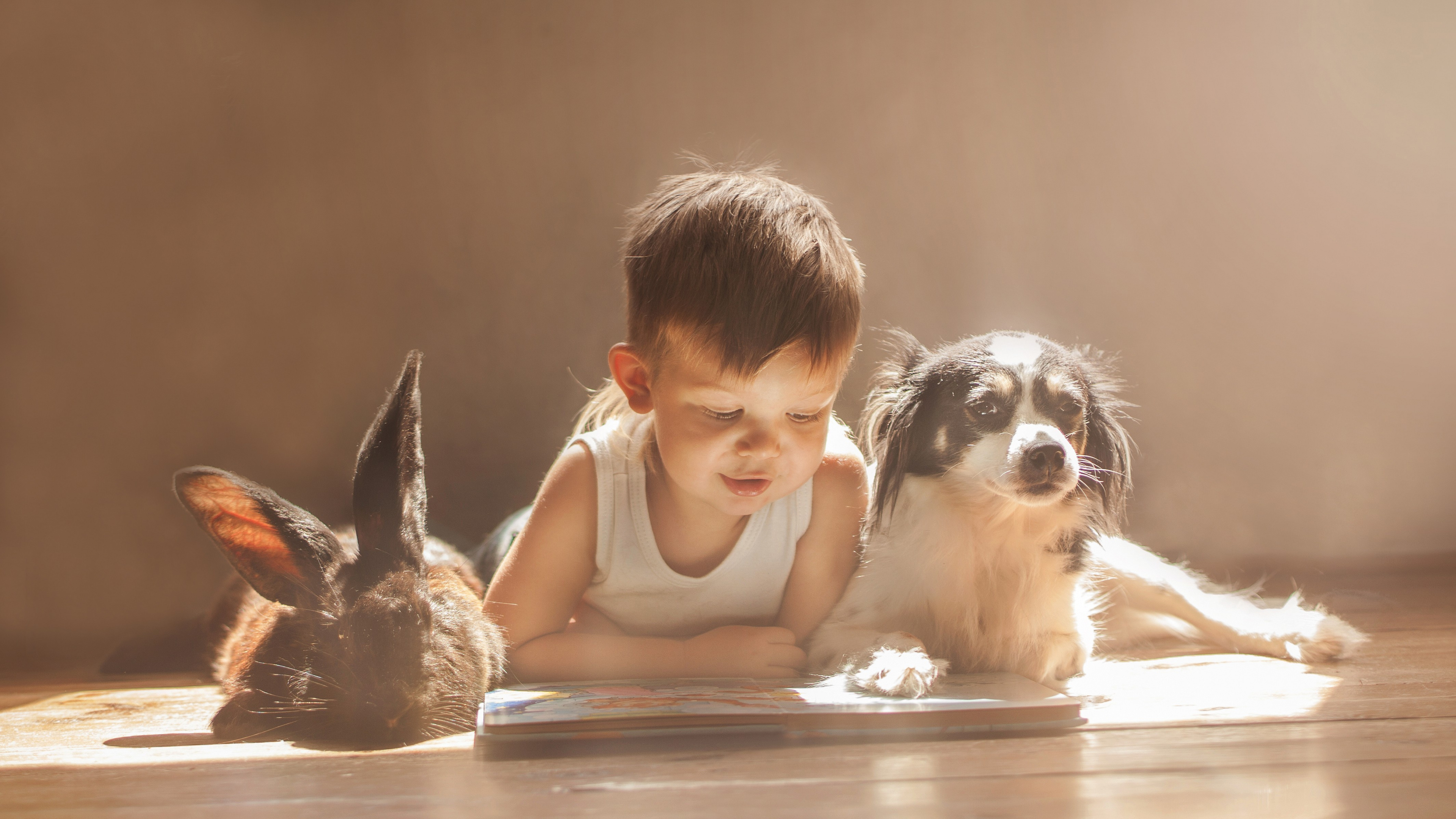 Perro, Conejo, Raza de Perro, Amor de Cachorro, Perro de Compañía. Wallpaper in 3840x2160 Resolution