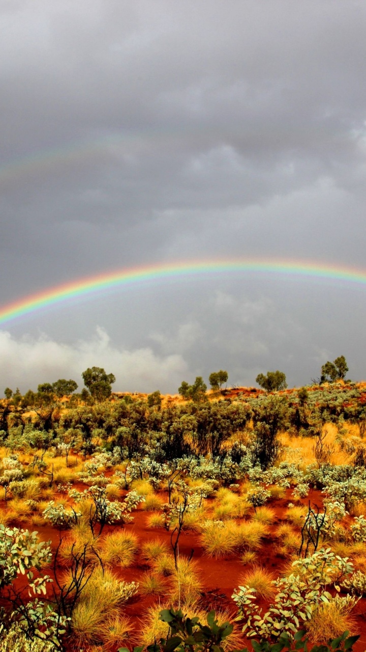 Gelbes Und Grünes Blumenfeld Unter Regenbogen Und Bewölktem Himmel Tagsüber. Wallpaper in 720x1280 Resolution
