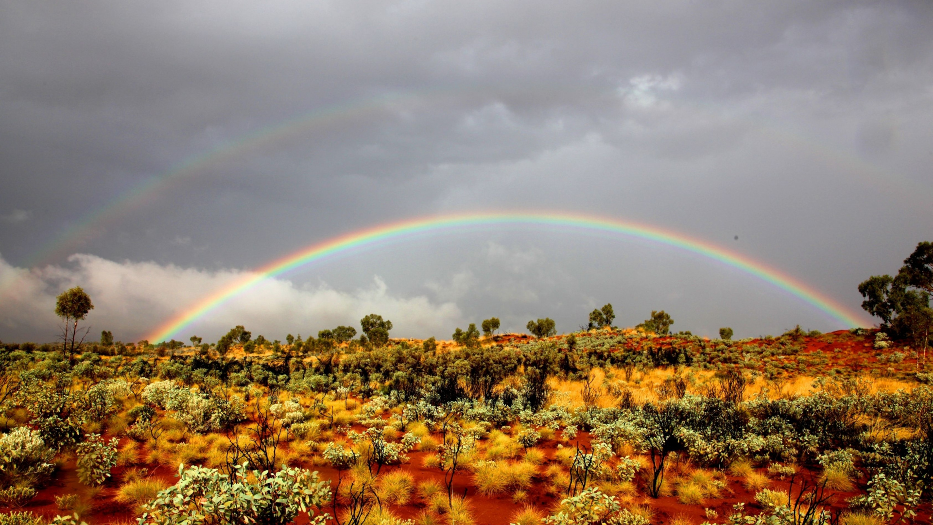 Campo de Flores Amarillas y Verdes Bajo el Arco Iris y el Cielo Nublado Durante el Día. Wallpaper in 1920x1080 Resolution