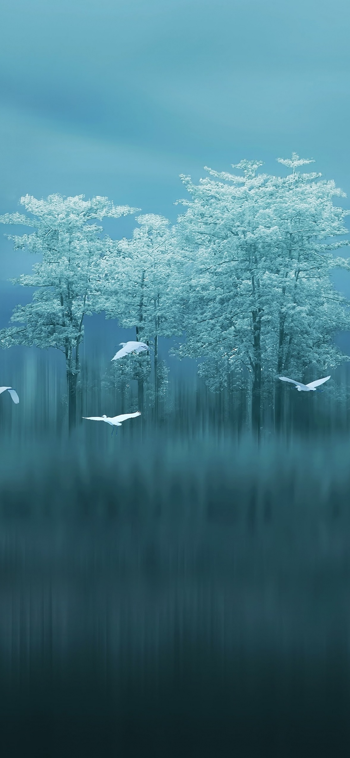 Huawei, Huawei Mate, Huawei Mate 10, Huawei Compagnon 20 x, Huawei Mate 20 Pro. Wallpaper in 1125x2436 Resolution