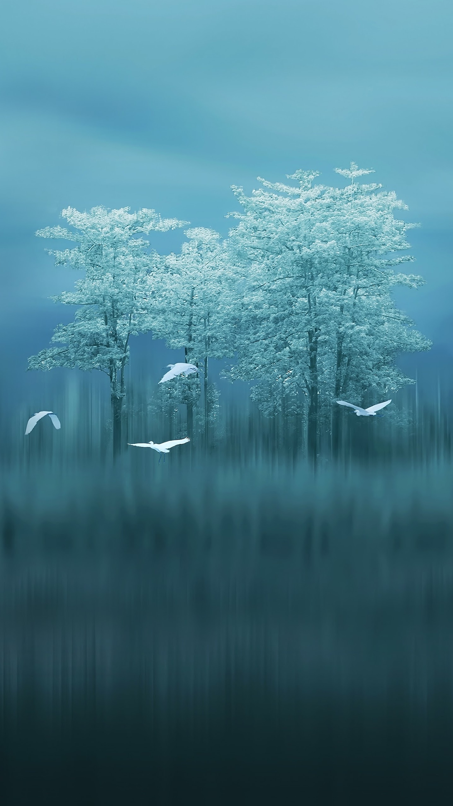 Huawei, Huawei Mate, Huawei Mate 10, Huawei Mate 20 x, Huawei Mate 20 Pro. Wallpaper in 1440x2560 Resolution