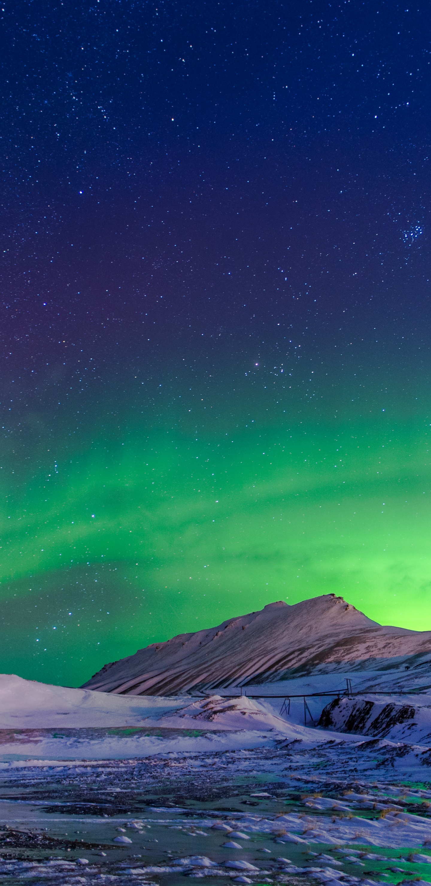 Winter Aurora, Aurora, Svalbard, Winter, Atmosphere. Wallpaper in 1440x2960 Resolution