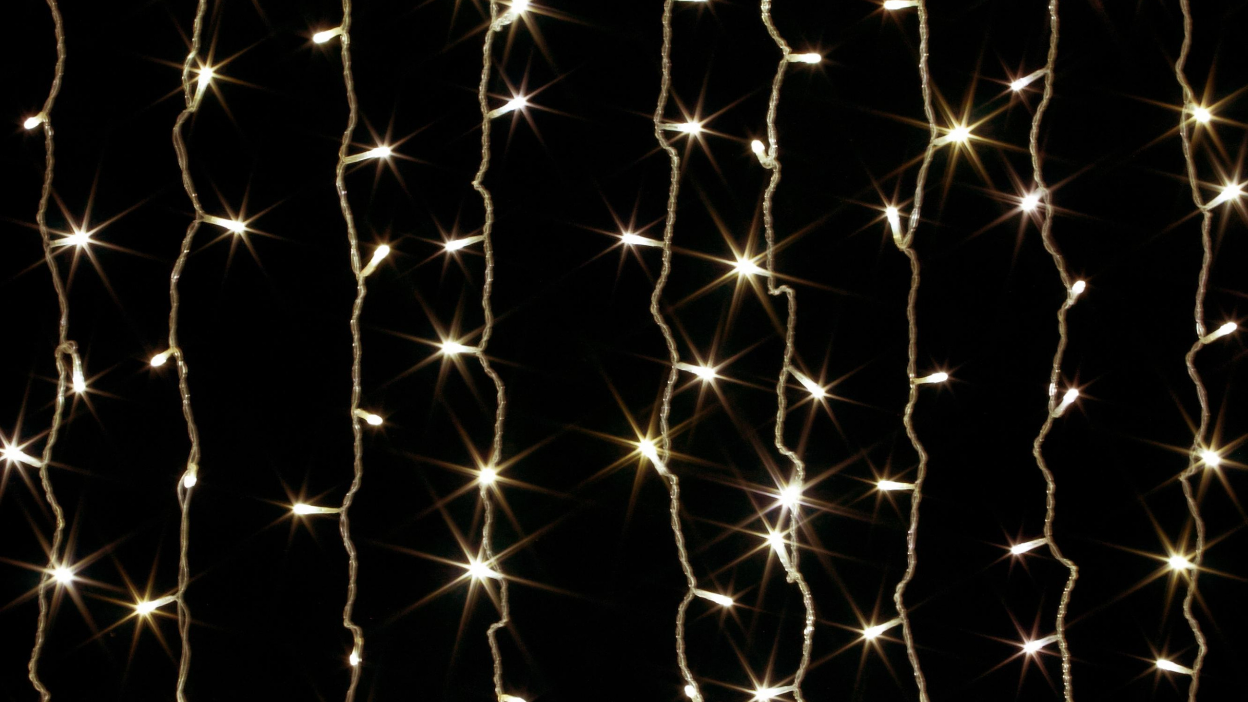 Garland, 光, 黑色的, 颜色, Artikel 壁纸 2560x1440 允许