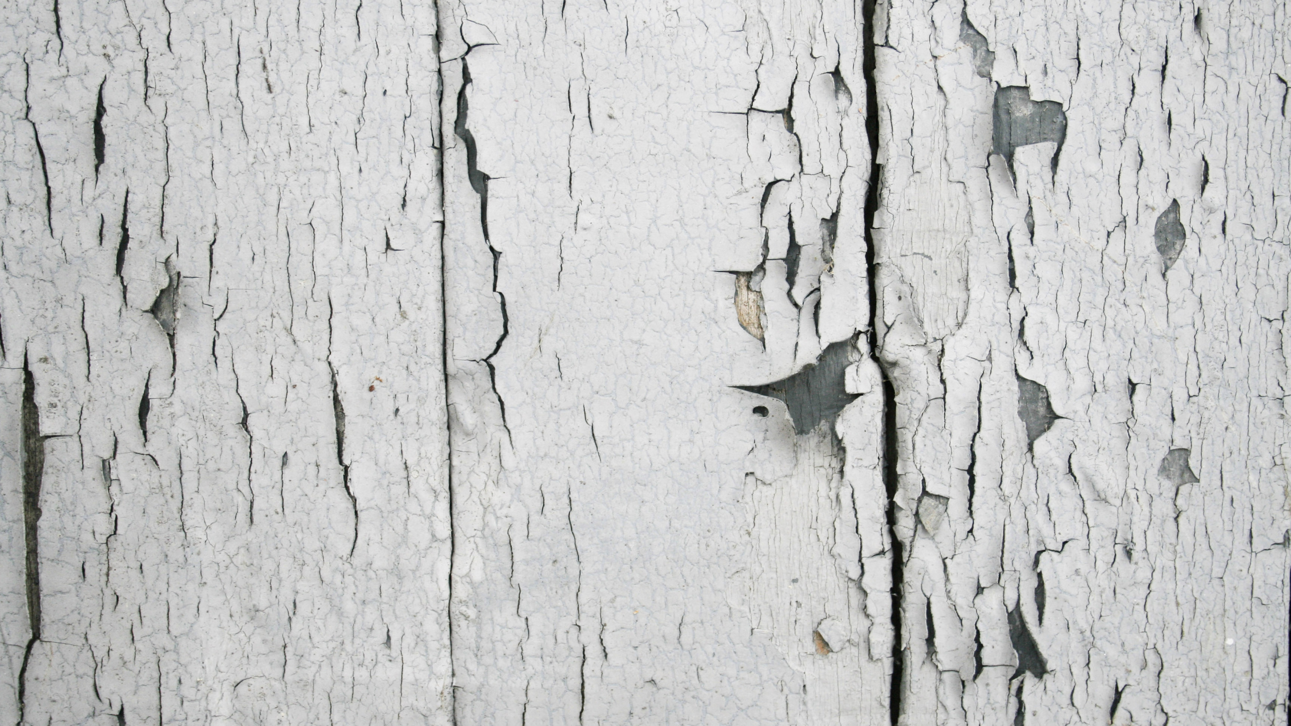 White and Gray Wooden Board. Wallpaper in 2560x1440 Resolution