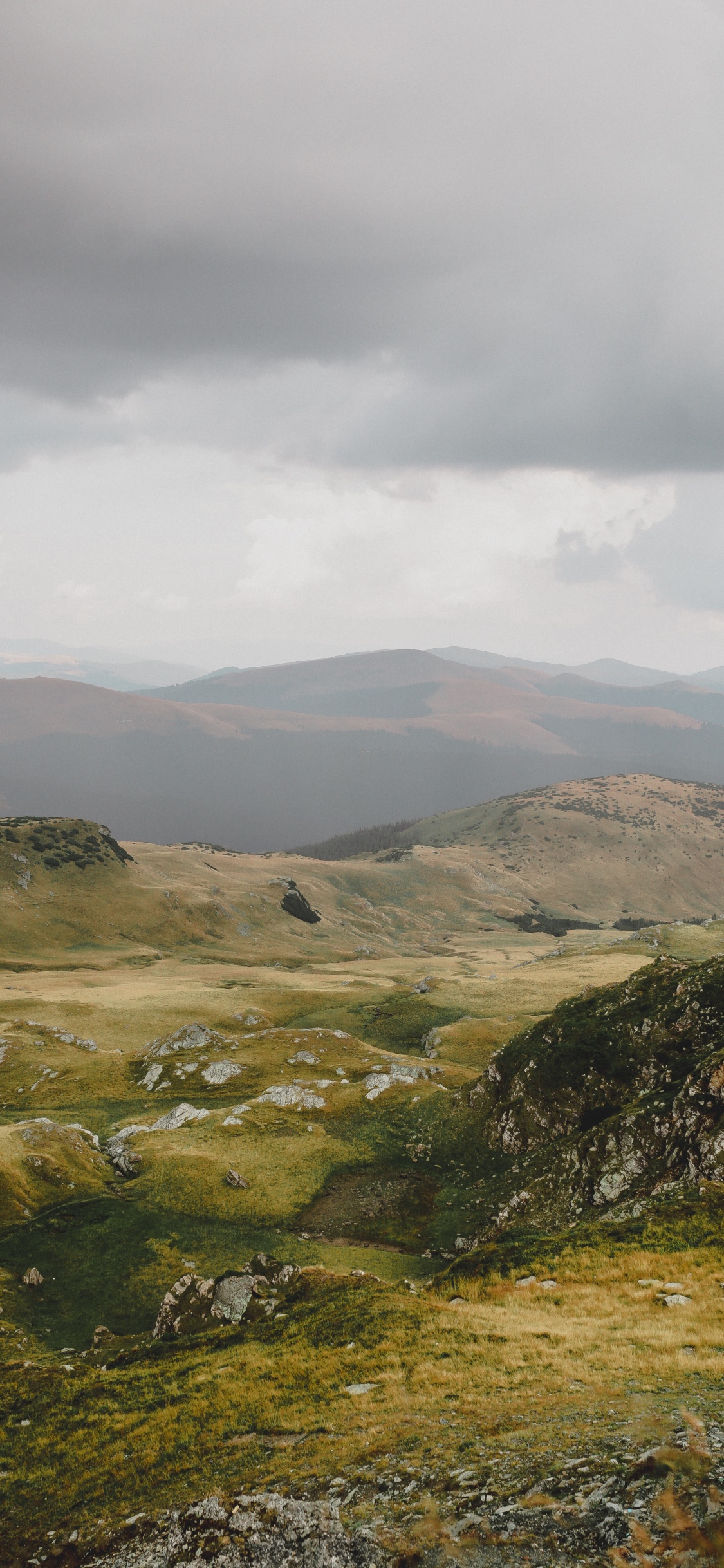 Highland, Les Reliefs Montagneux, Colline, Prairie, Environnement Naturel. Wallpaper in 1125x2436 Resolution