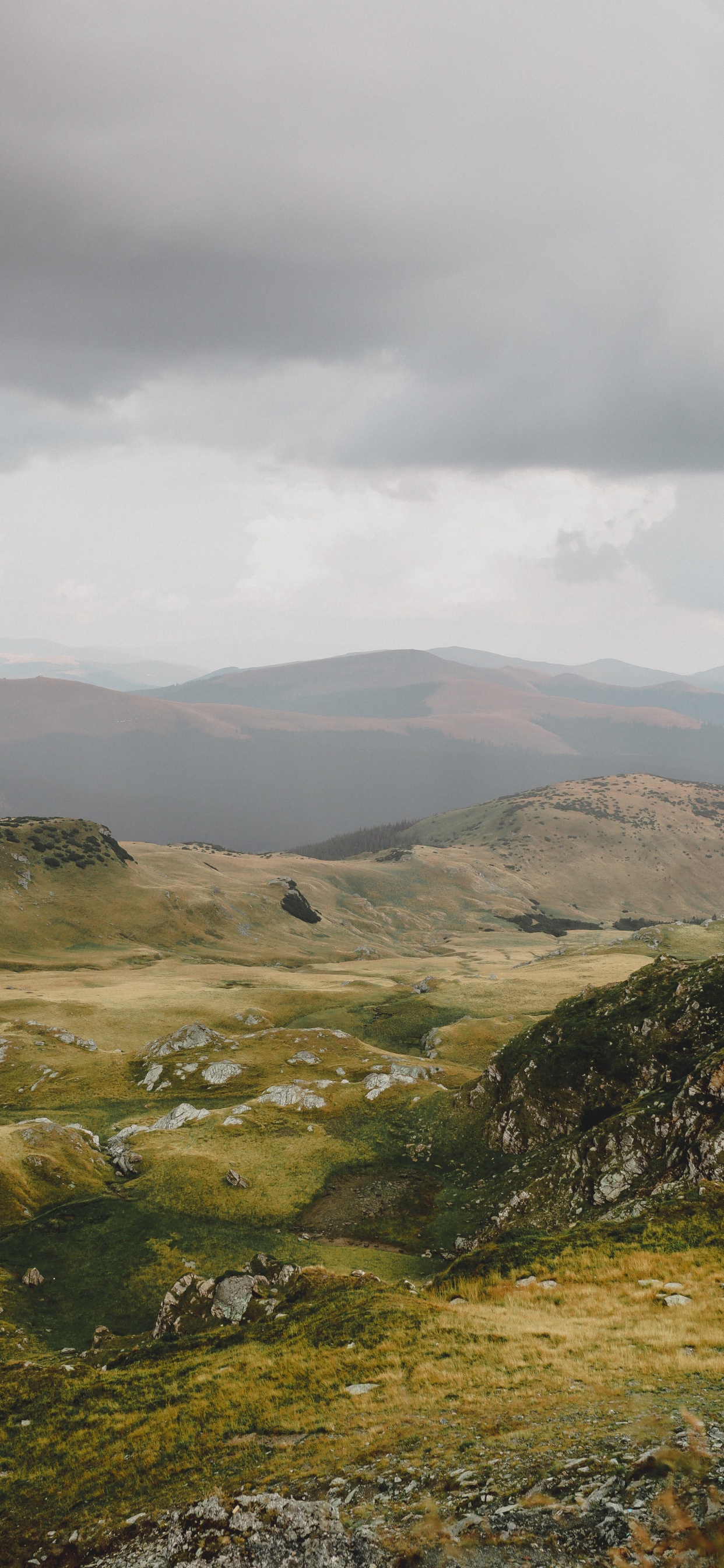 Highland, Les Reliefs Montagneux, Colline, Prairie, Environnement Naturel. Wallpaper in 1242x2688 Resolution