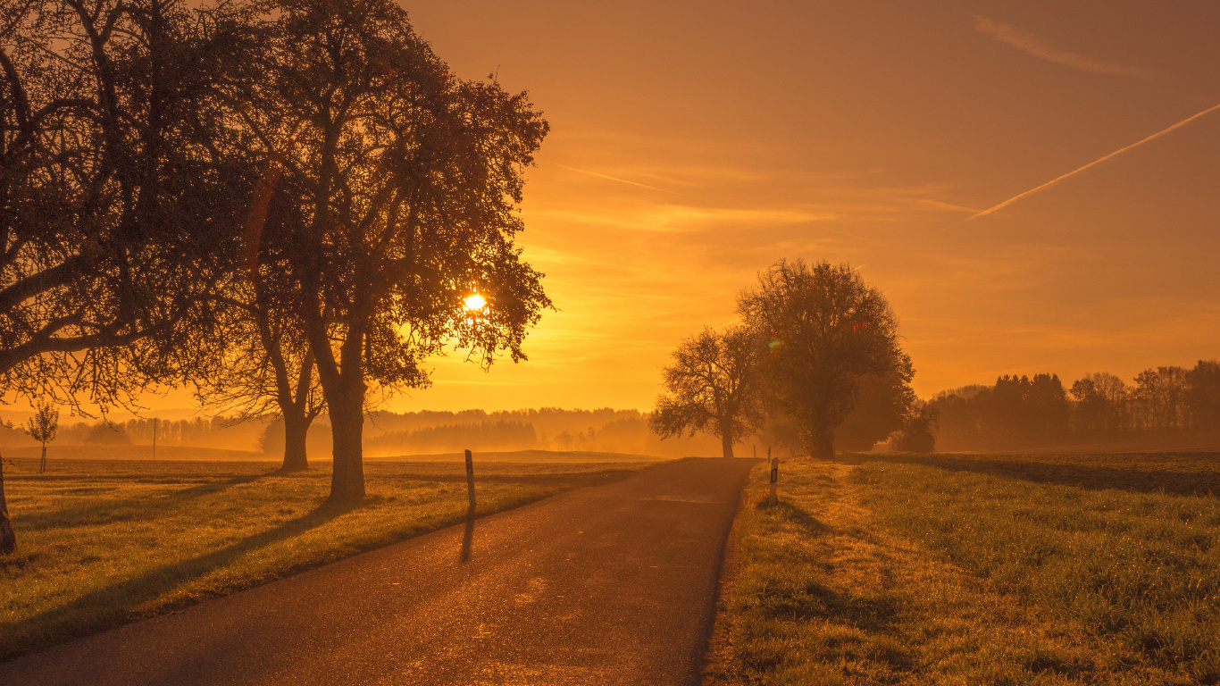 Naturlandschaft, Natur, Baum, Morgen, Sonnenaufgang. Wallpaper in 1366x768 Resolution