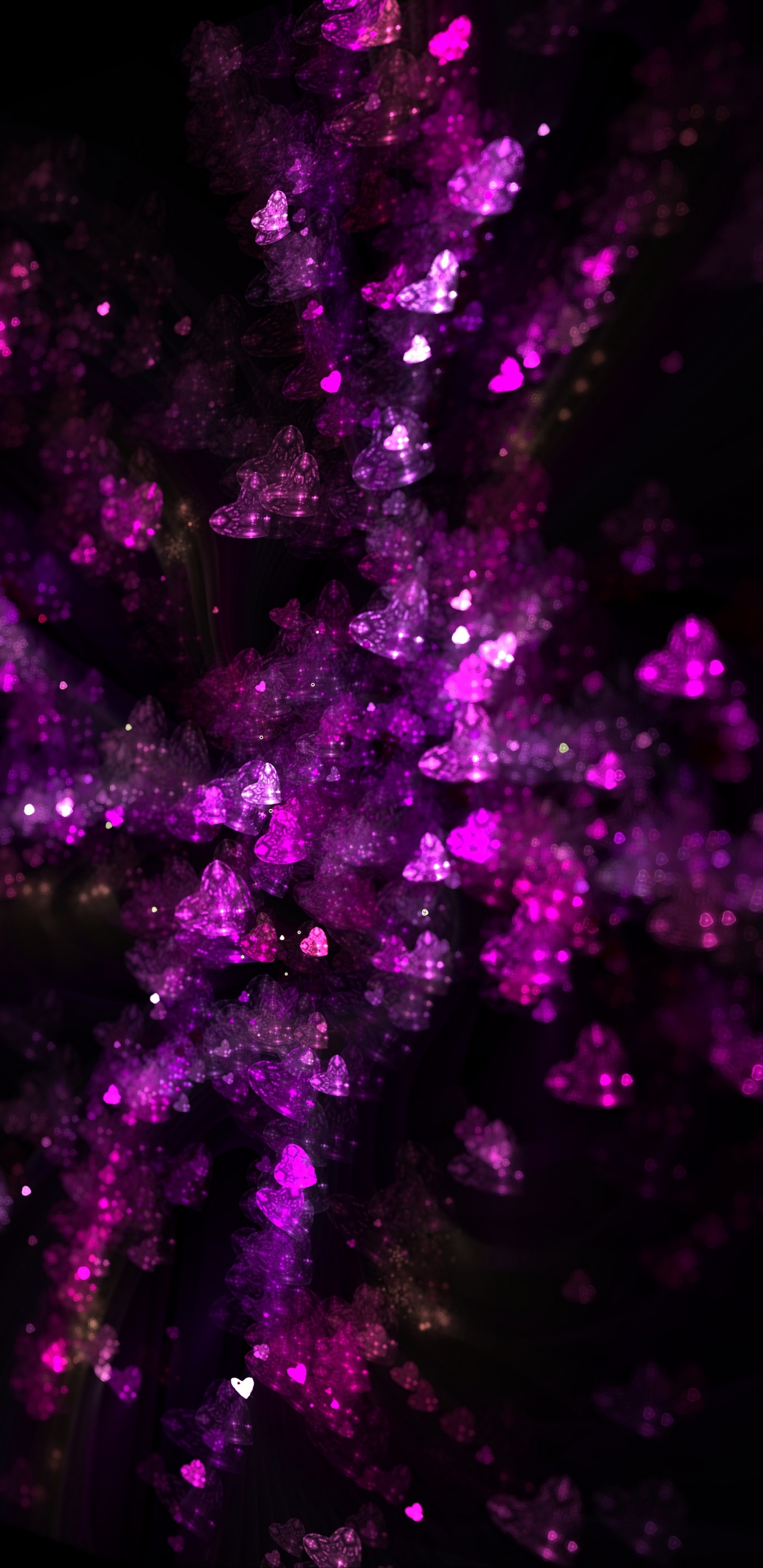 Pétales de Fleurs Violettes et Blanches. Wallpaper in 1440x2960 Resolution