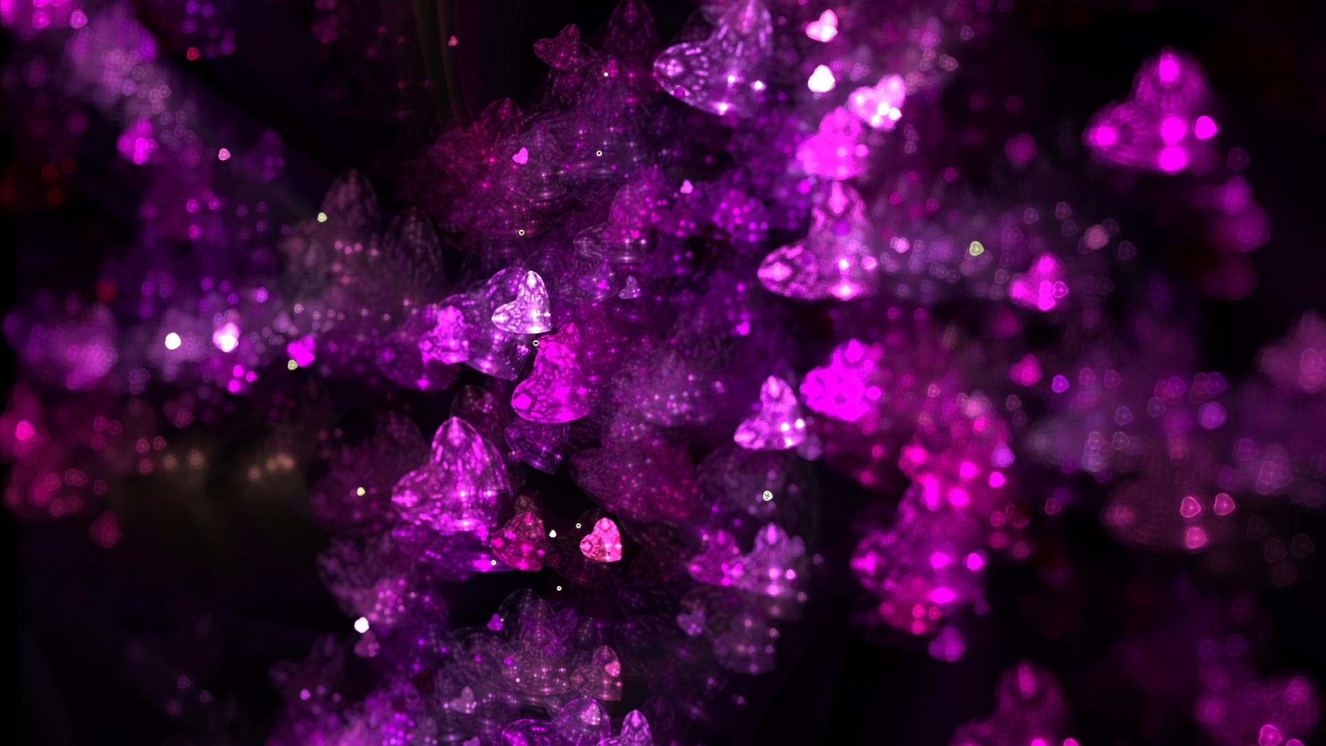 Pétales de Fleurs Violettes et Blanches. Wallpaper in 1920x1080 Resolution