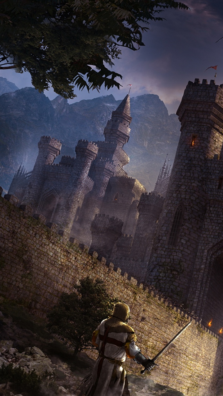 艺术, 创造性的艺术, 城堡, 森林, 气氛 壁纸 720x1280 允许