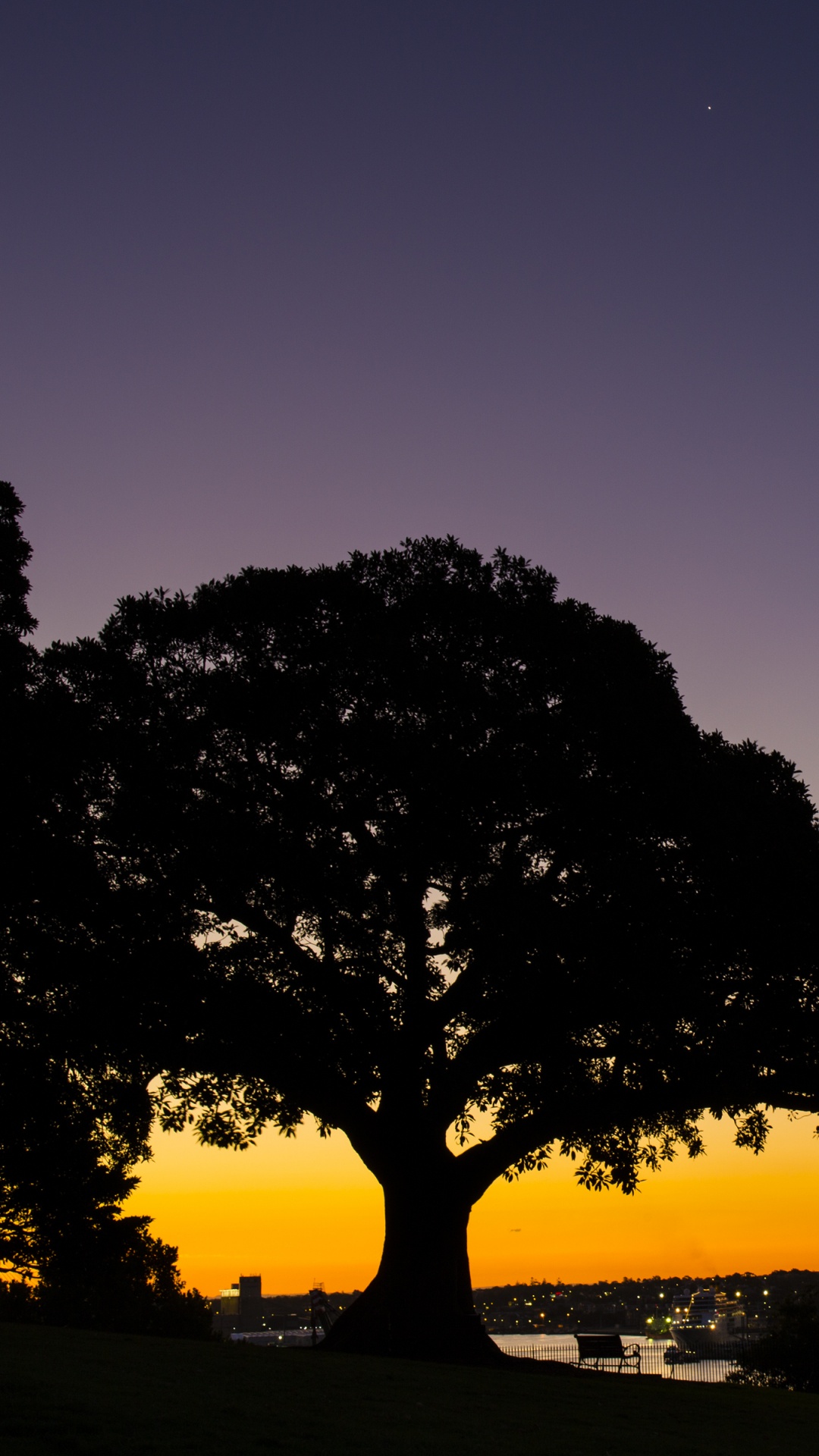 Silueta de Árbol Durante la Puesta de Sol. Wallpaper in 1080x1920 Resolution