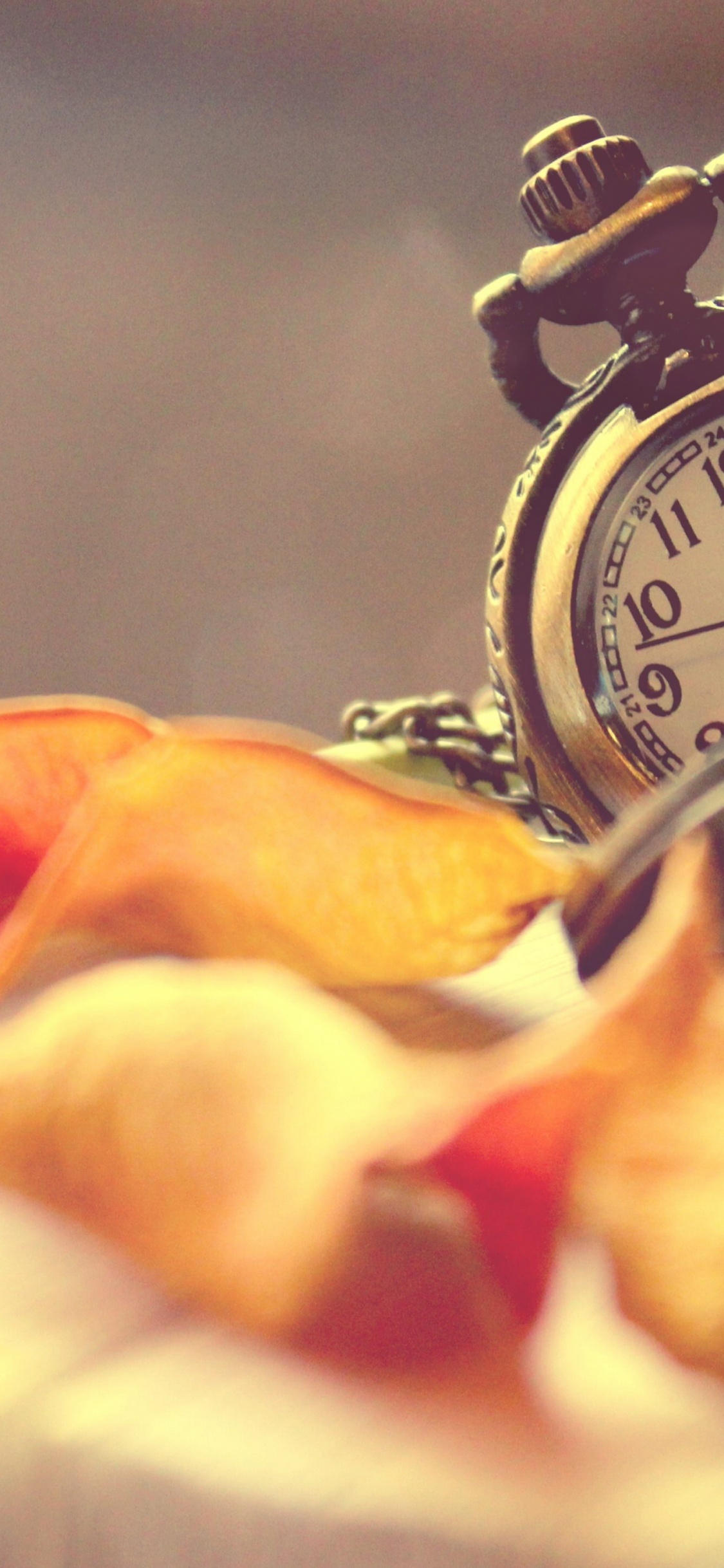 le Vent et Moi, Tout Doit Changer, Watch, Montre Analogique, Réveil. Wallpaper in 1125x2436 Resolution