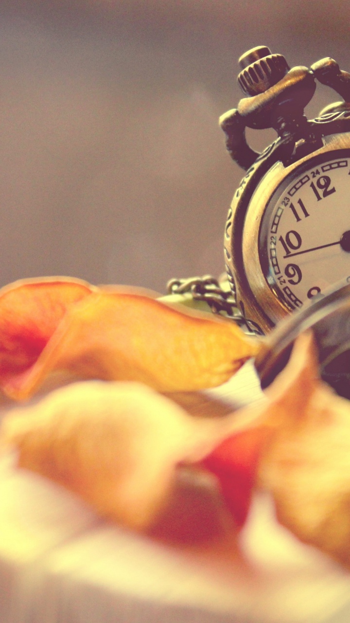 le Vent et Moi, Tout Doit Changer, Watch, Montre Analogique, Réveil. Wallpaper in 720x1280 Resolution